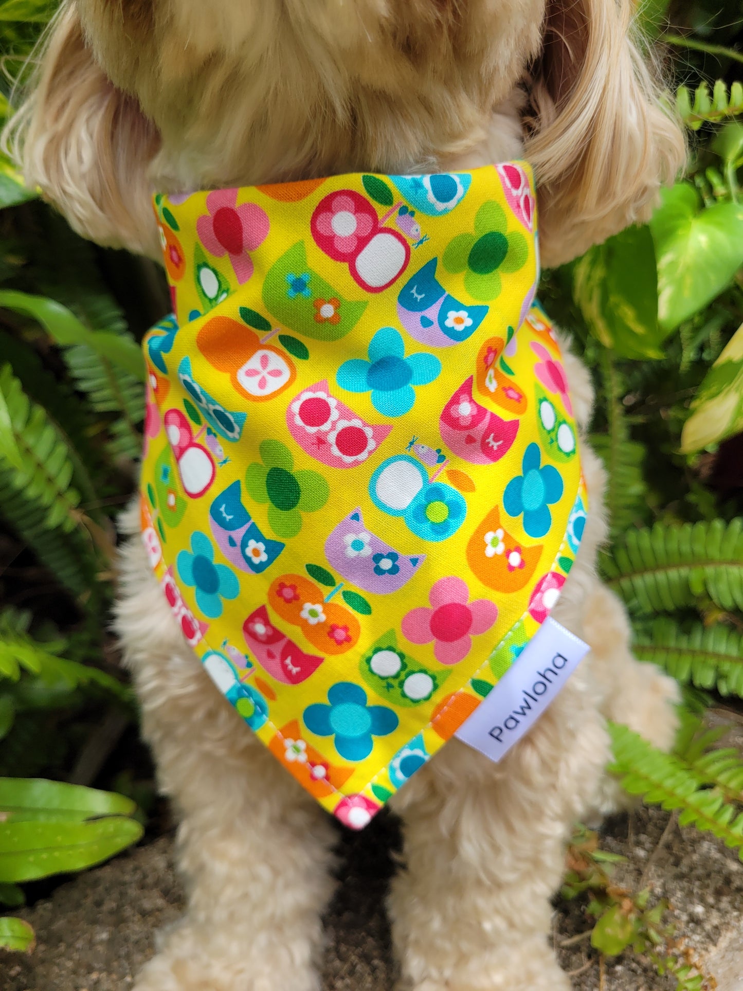 Tropical Meowgic Bandana