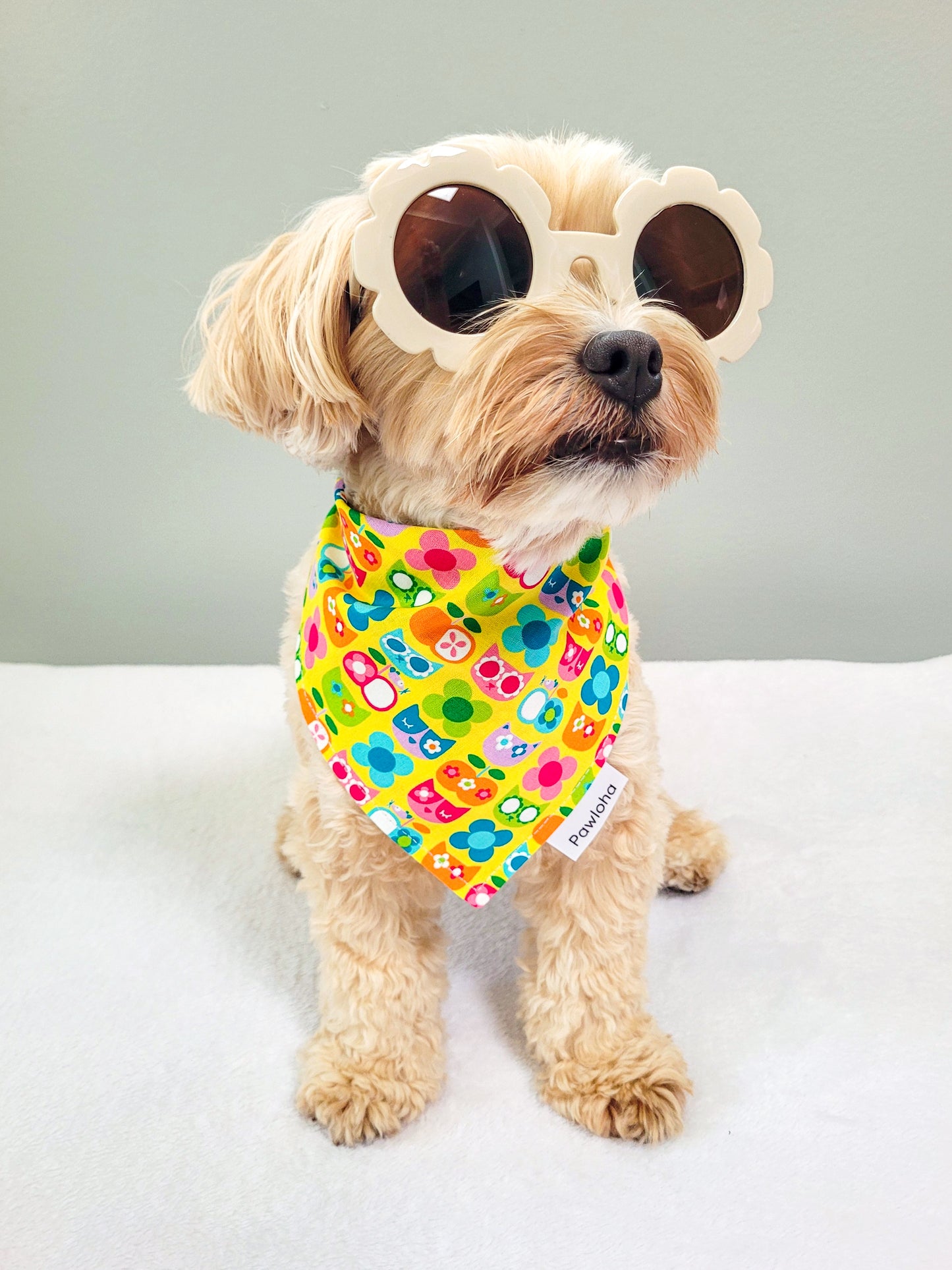 Tropical Meowgic Bandana