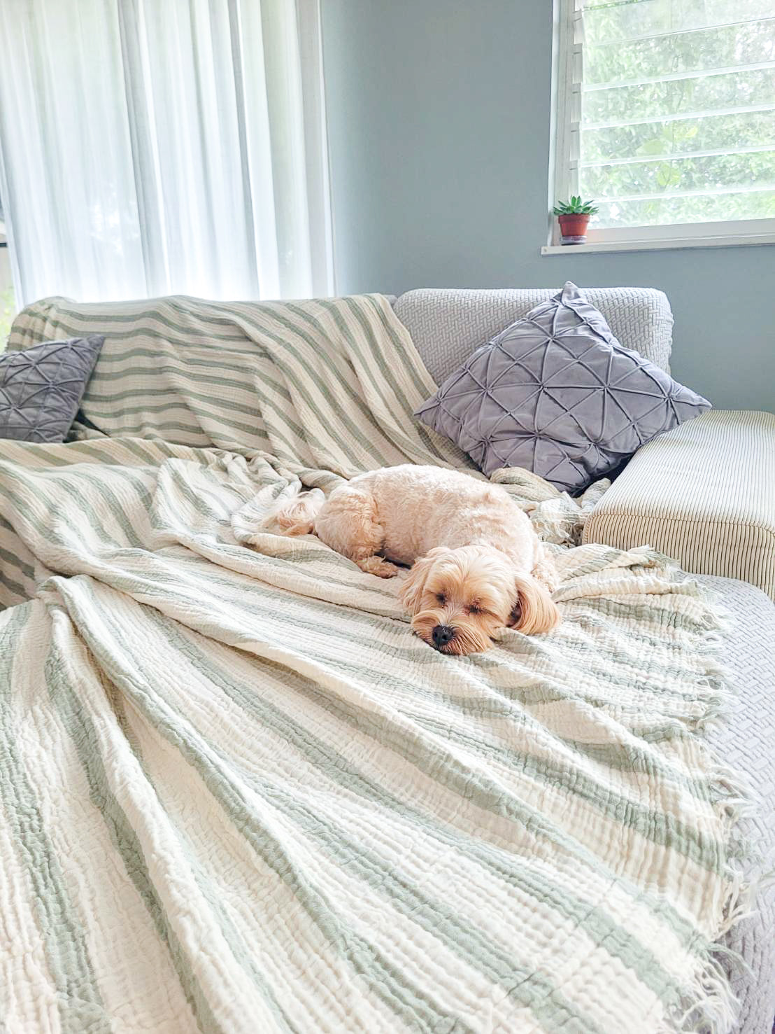 Muslin Throw Blanket (Olive Green)