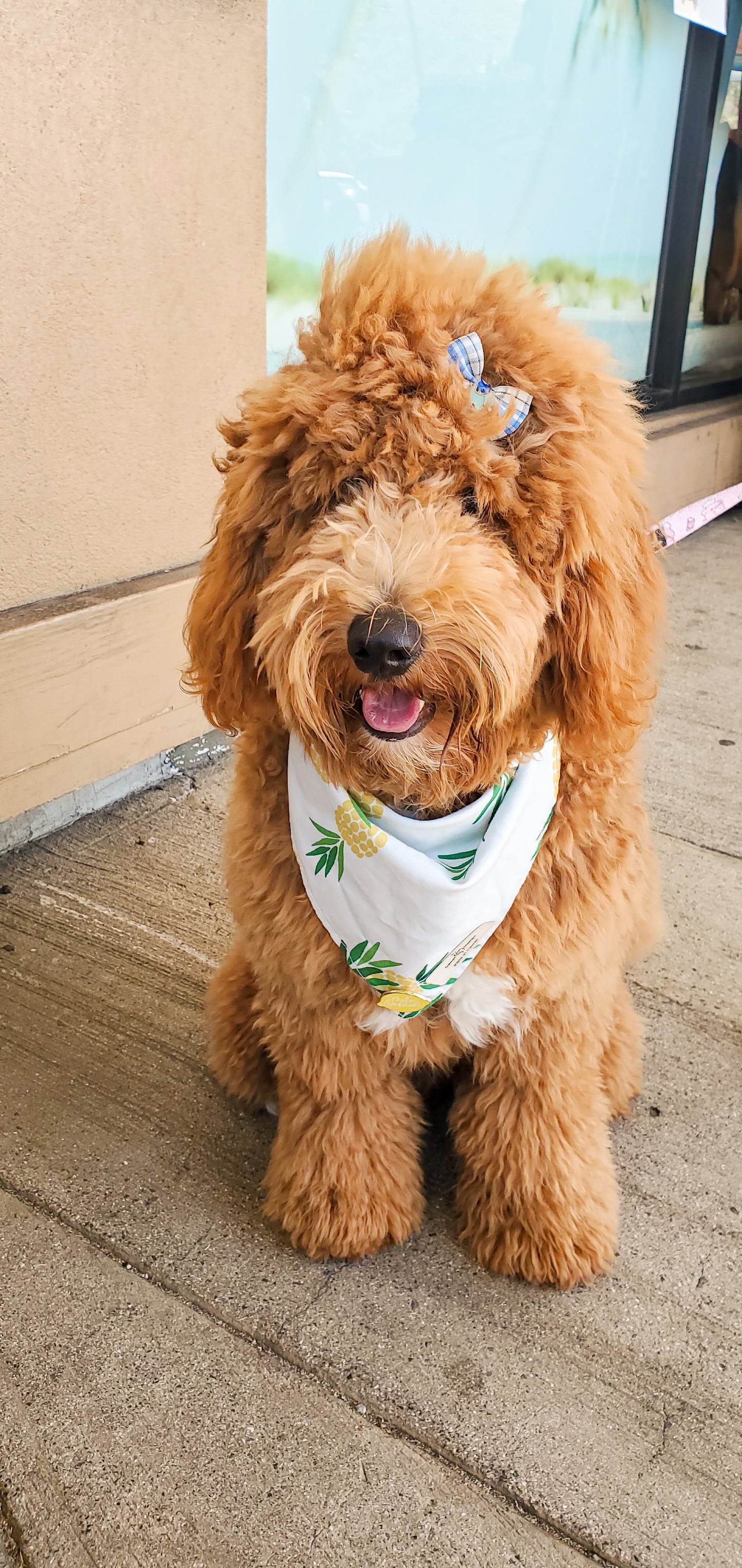 Pineapple Bandana