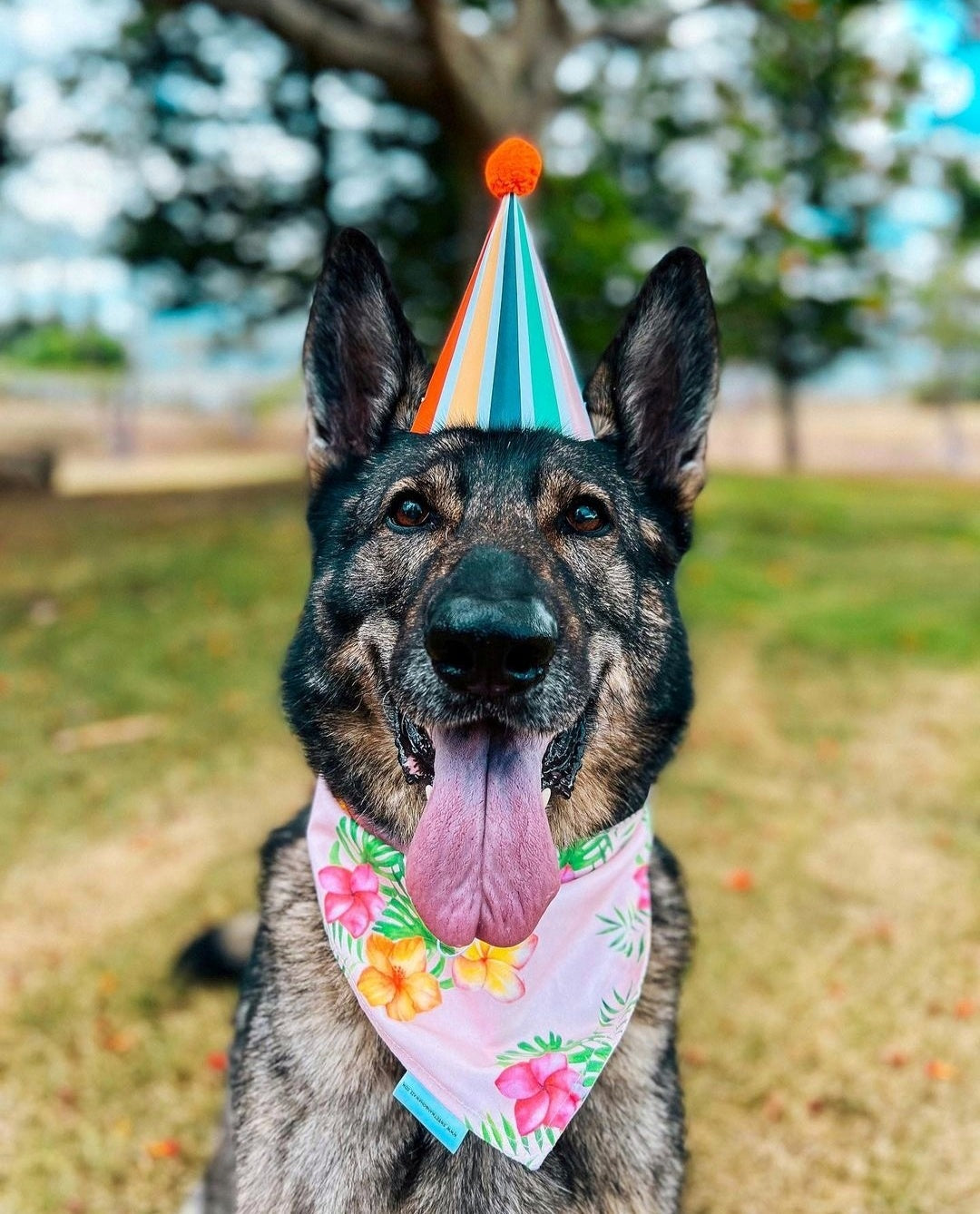 Plumeria "Maila" Bandana