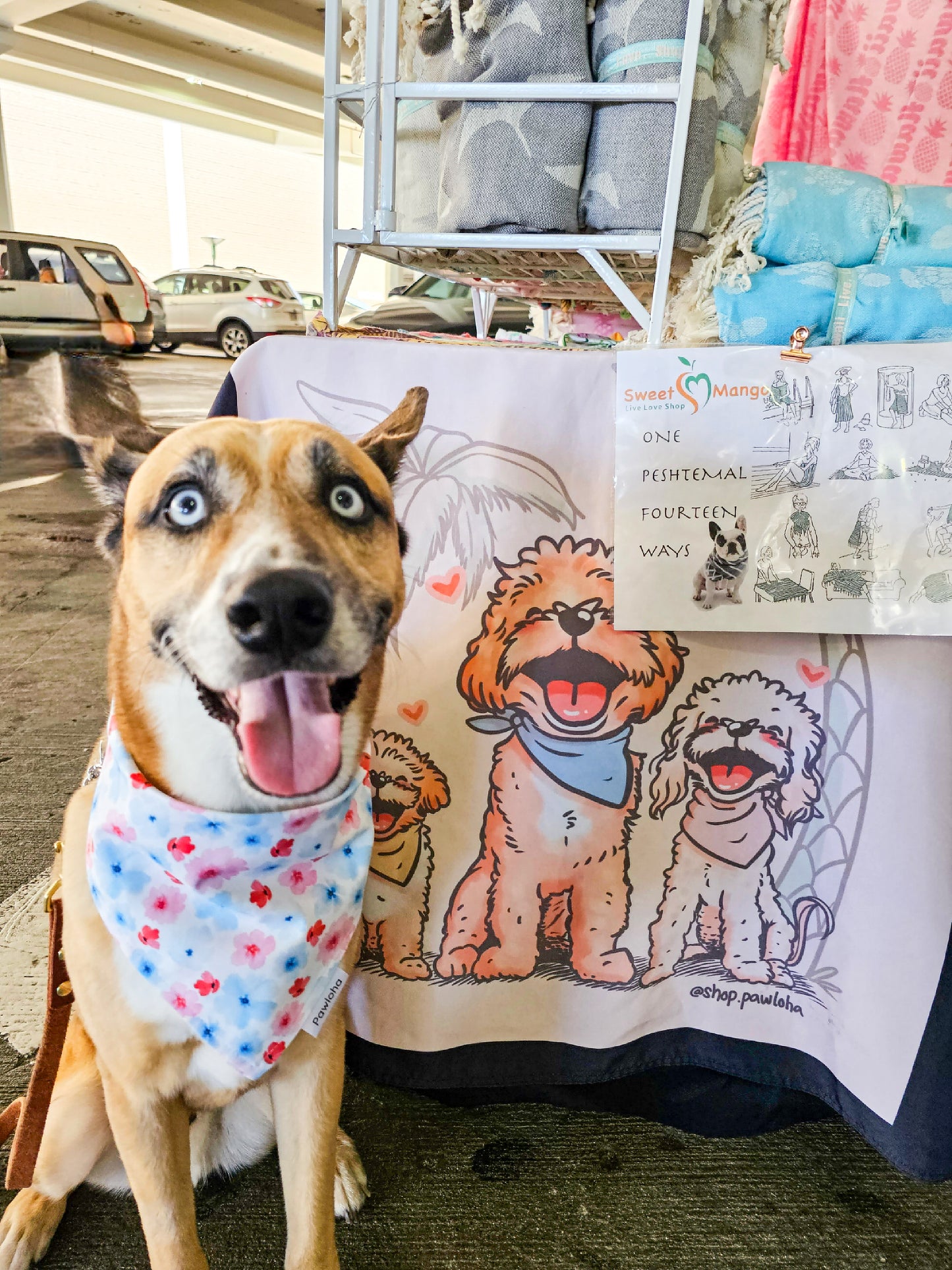 Pawtriotic Mermaid & Summer Floral Bandana