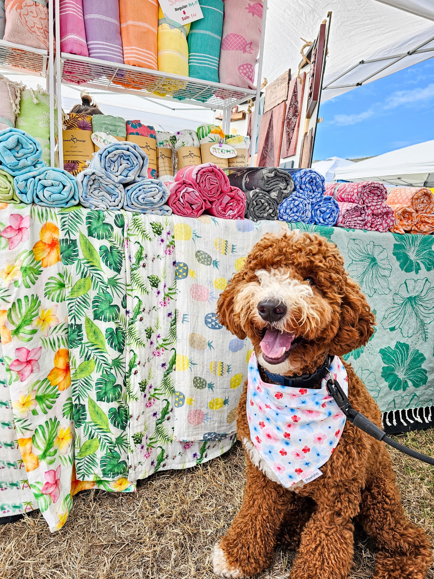 Pawtriotic Mermaid & Summer Floral Bandana