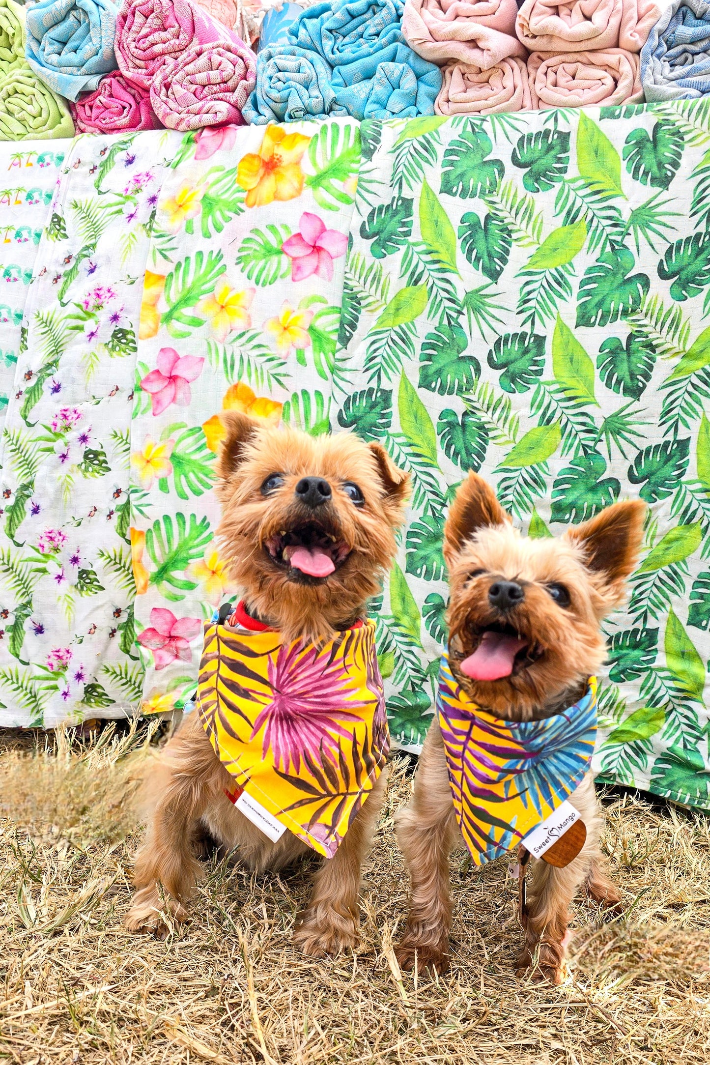 Maya (Pink) Bandana
