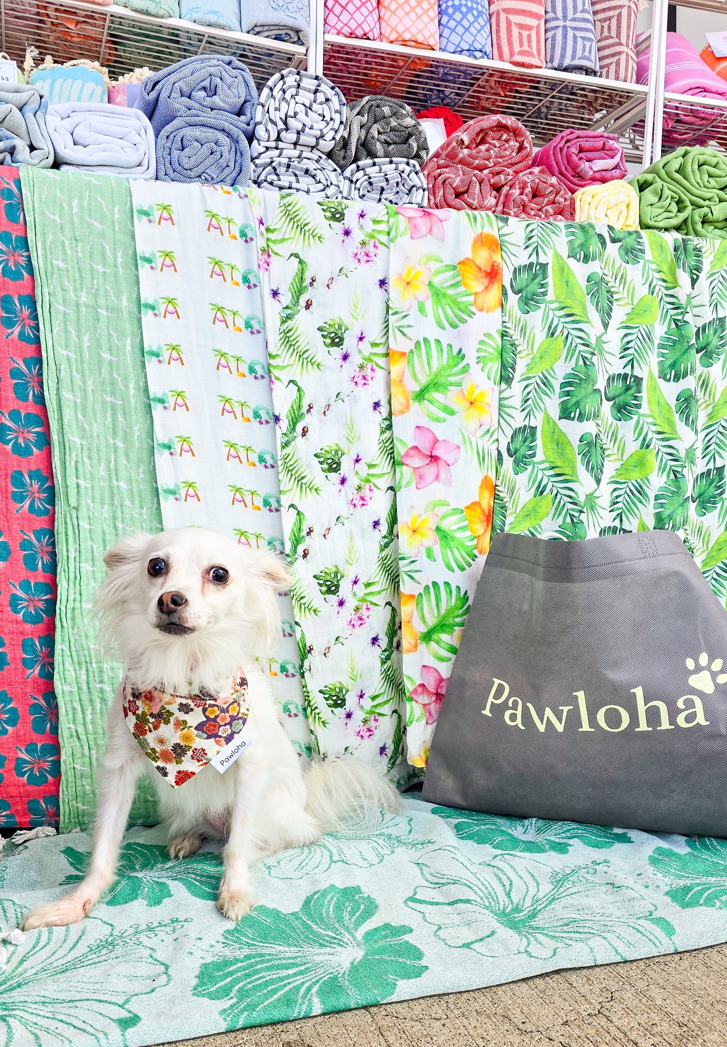 Haru Sakura Bandanas