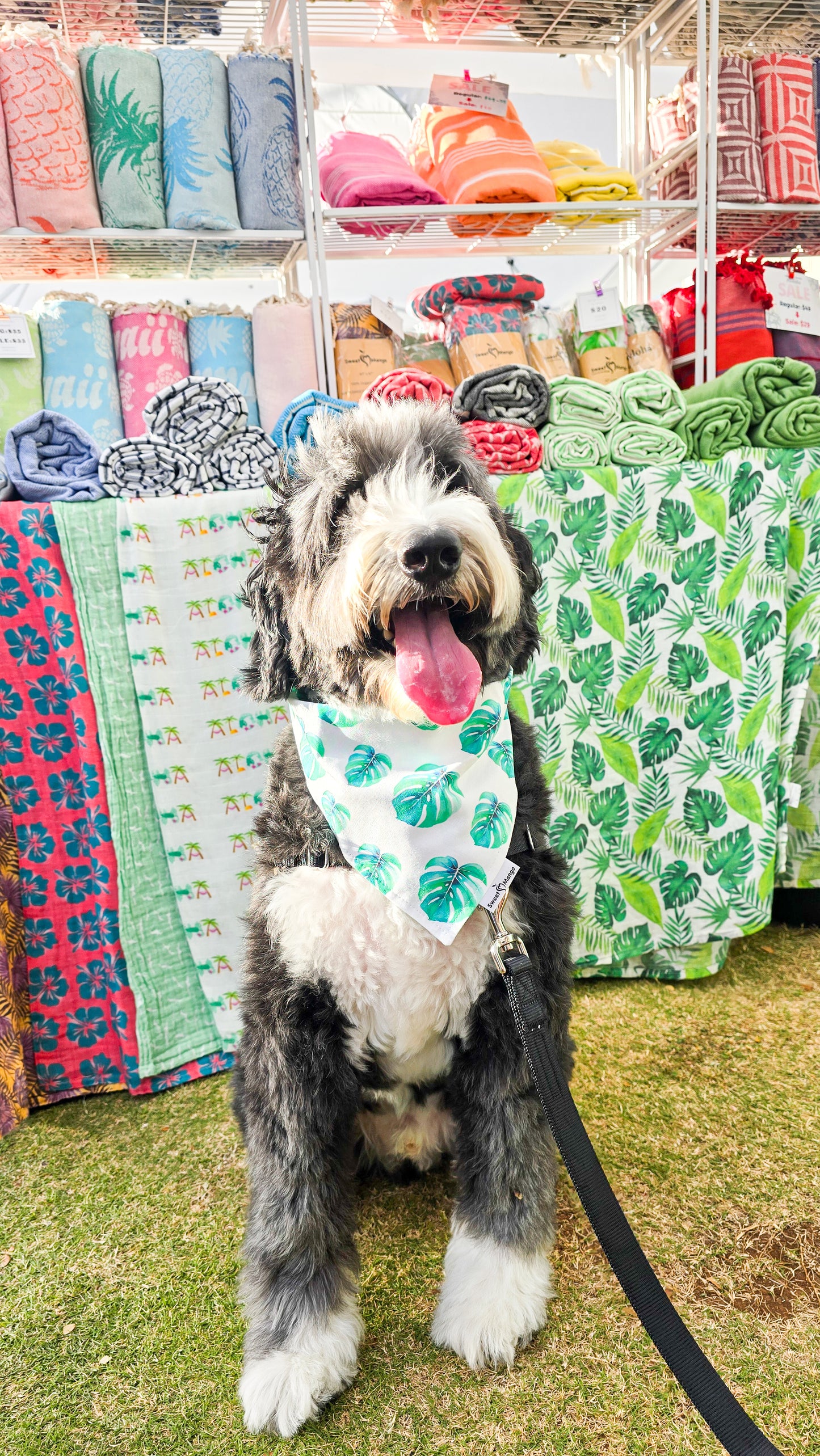 Green Monstera Bandana
