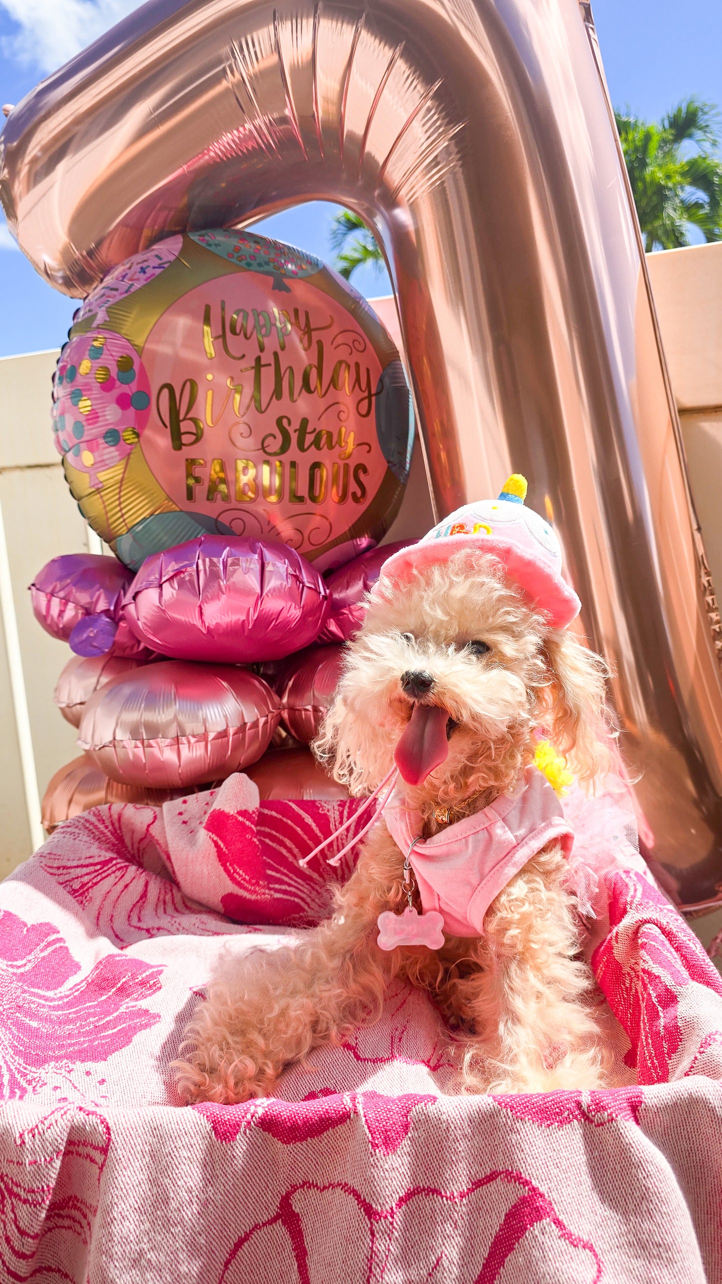 Happy Birthday Hat Toy