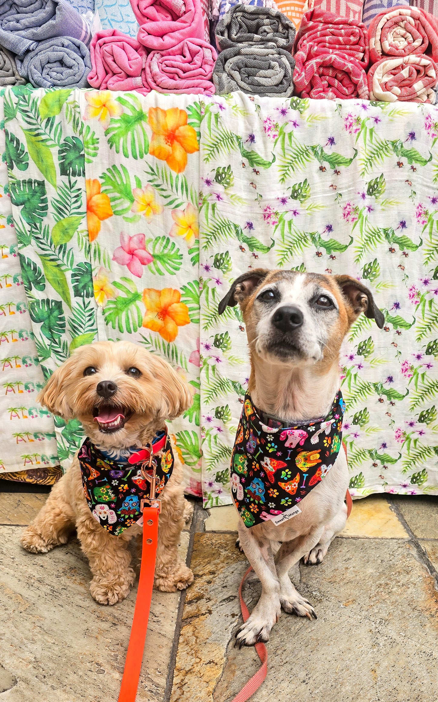 Día de Muertos (Dead of Day) Bandana