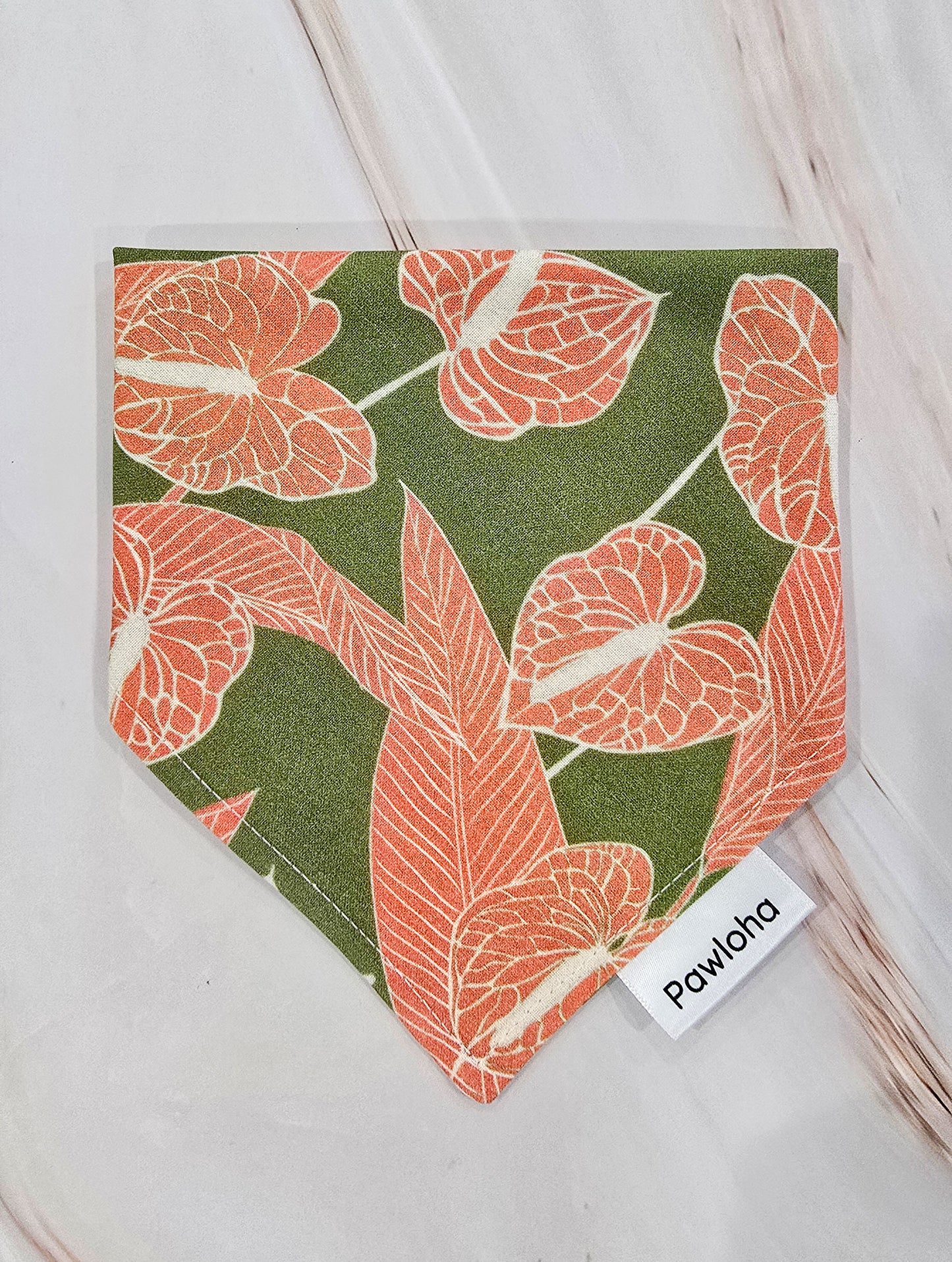 Anthurium Collection