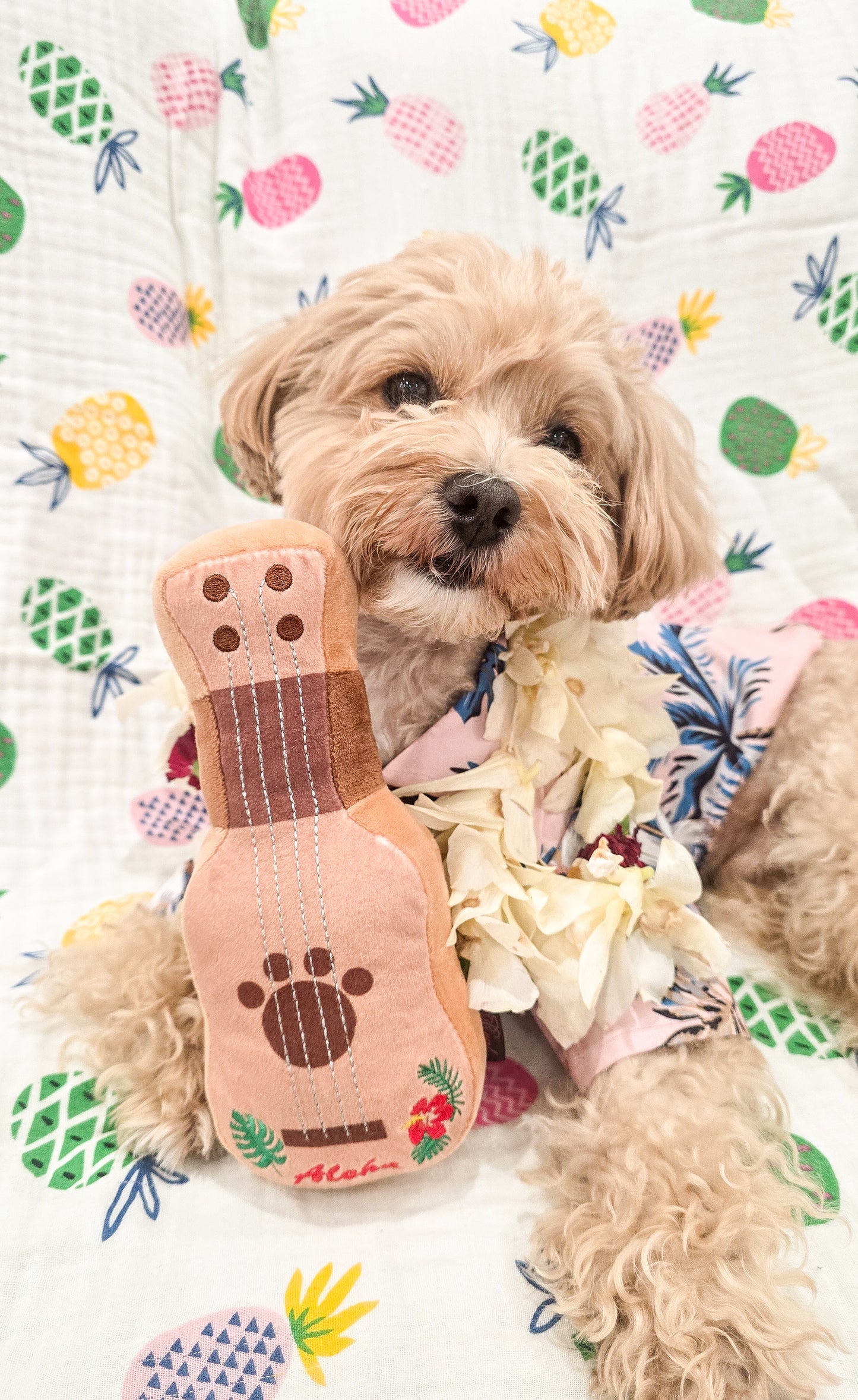 Ukulele Collection