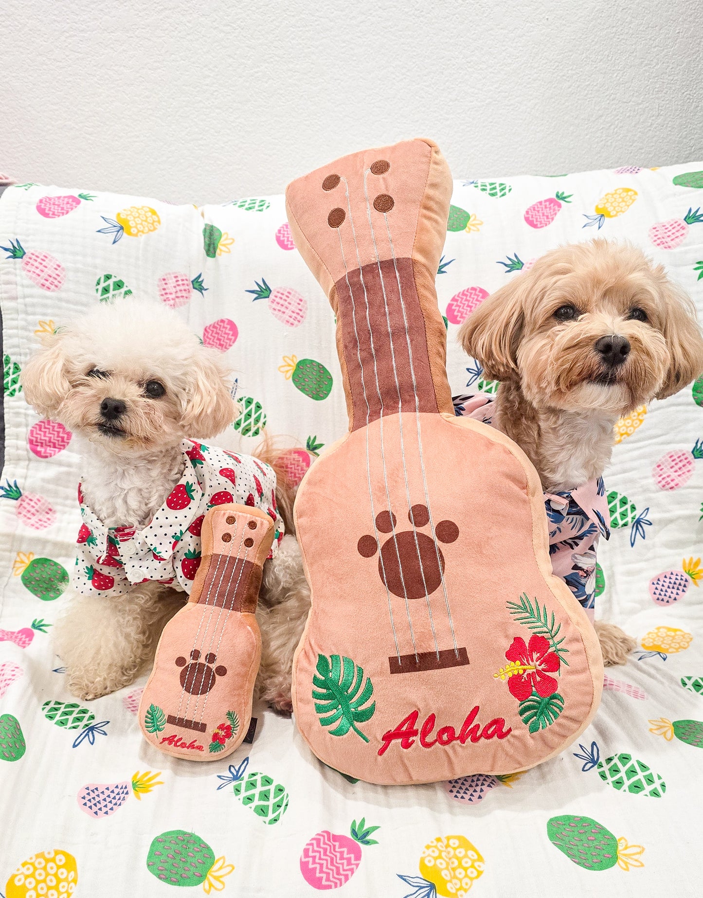 Ukulele Collection
