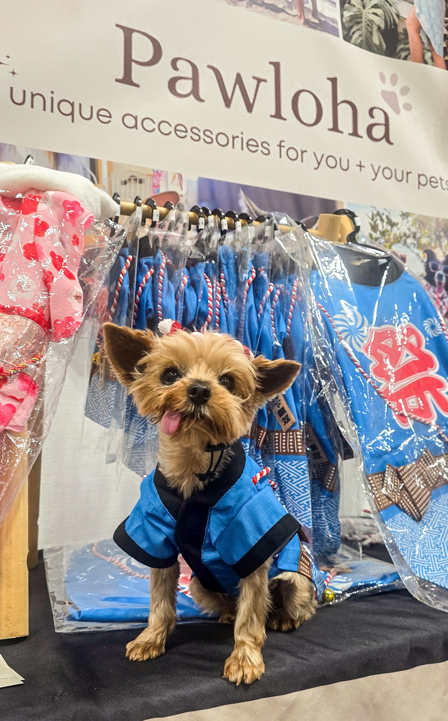 Matsuri Happi Coat