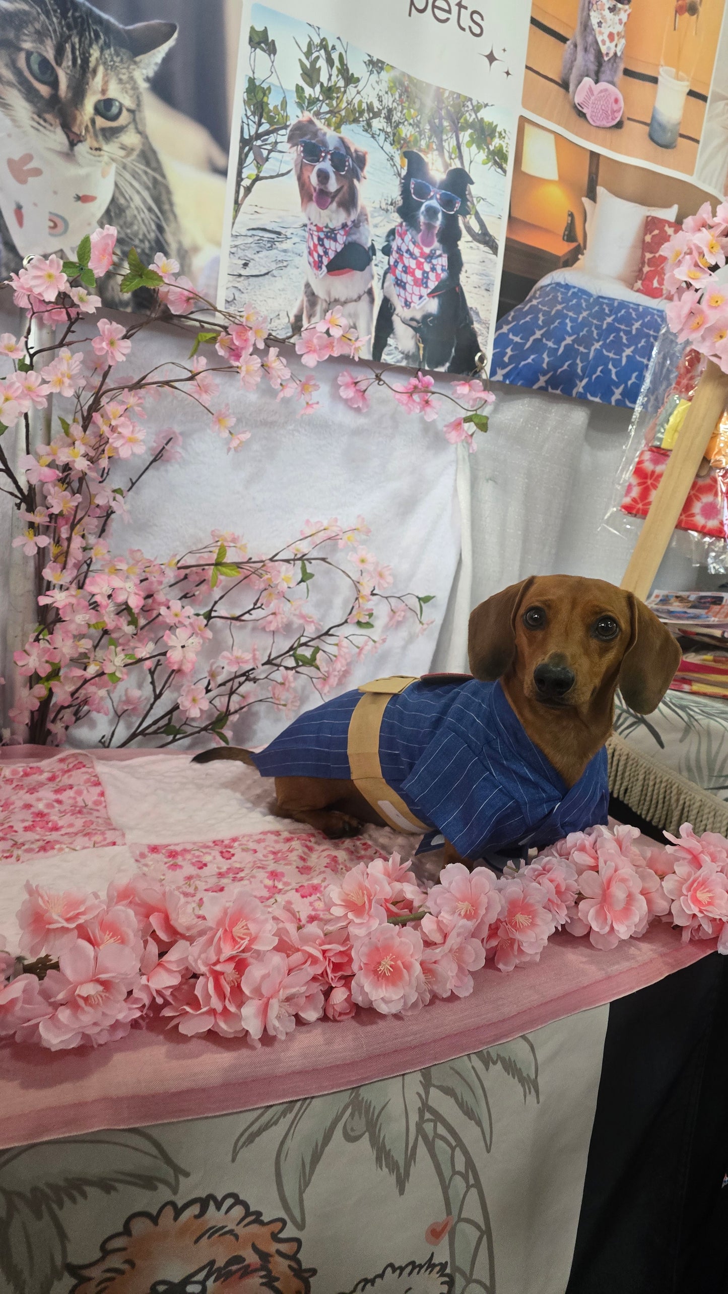 Yukata Collection - Suigetsu