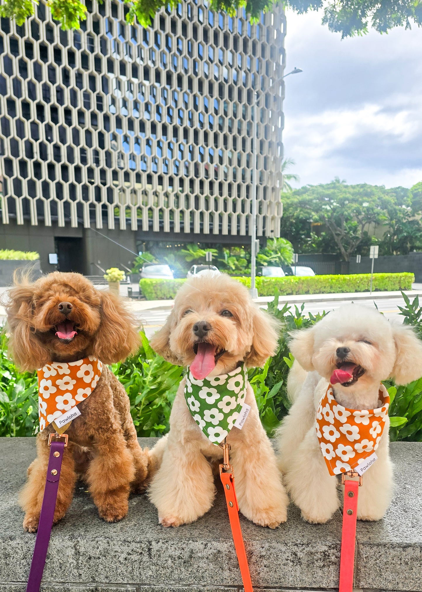 Fall Collection "Olive & Daisy" Bandanas