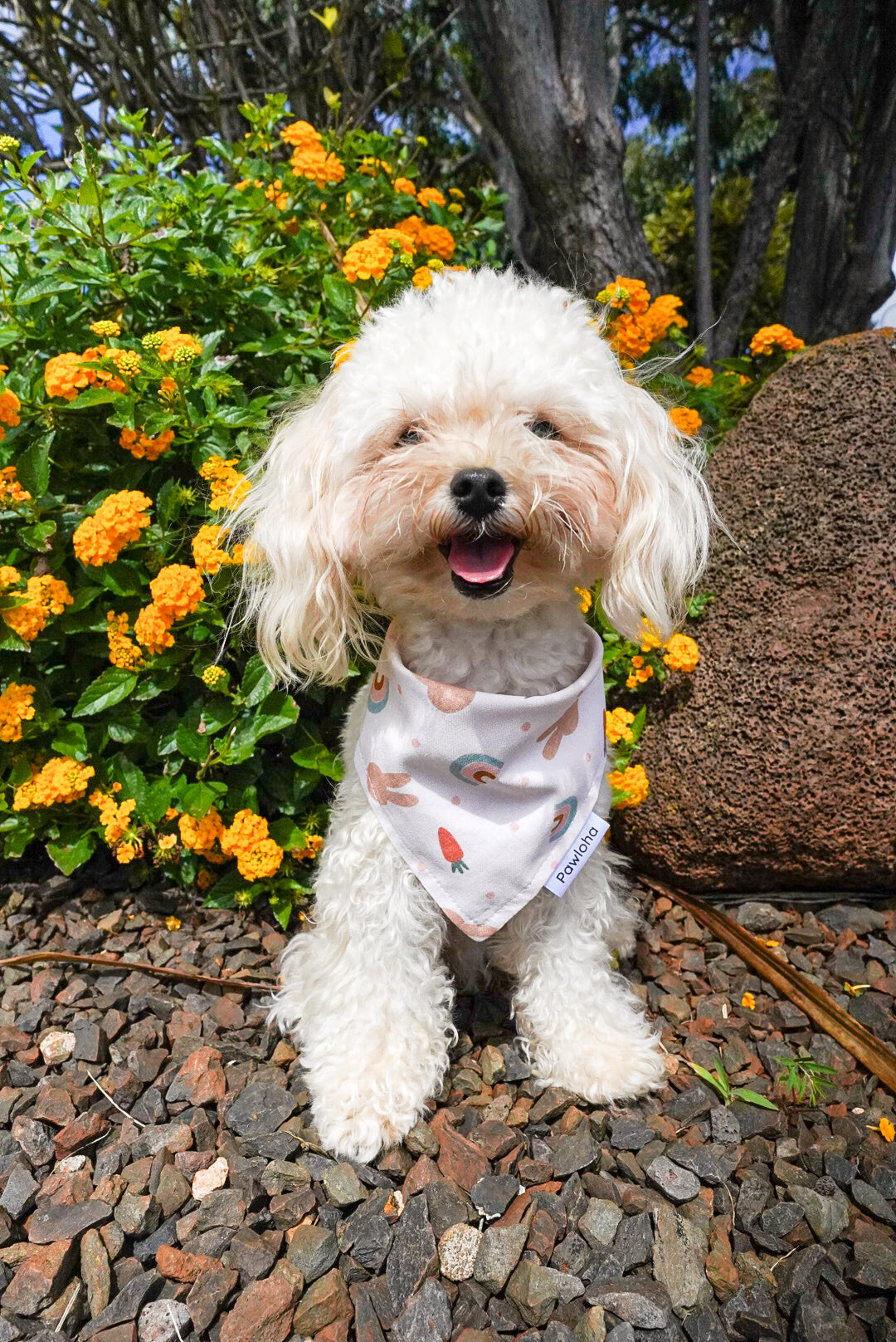 Hoppy Bunny Bandana
