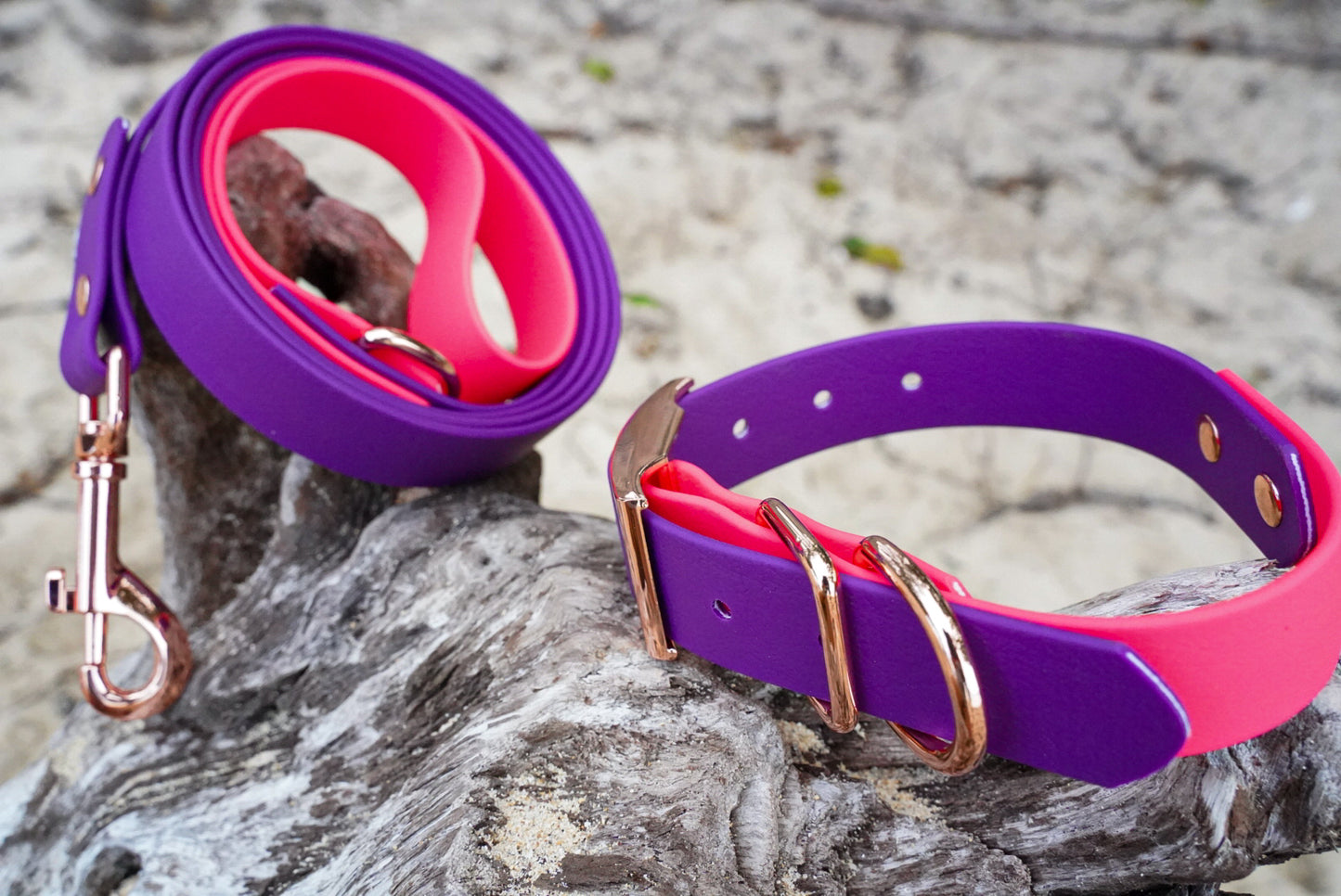 Purple + Pink Collar/Leash