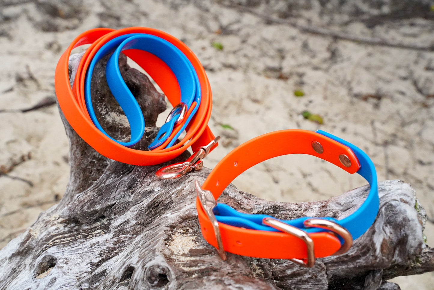 Orange + Blue Collar/Leash