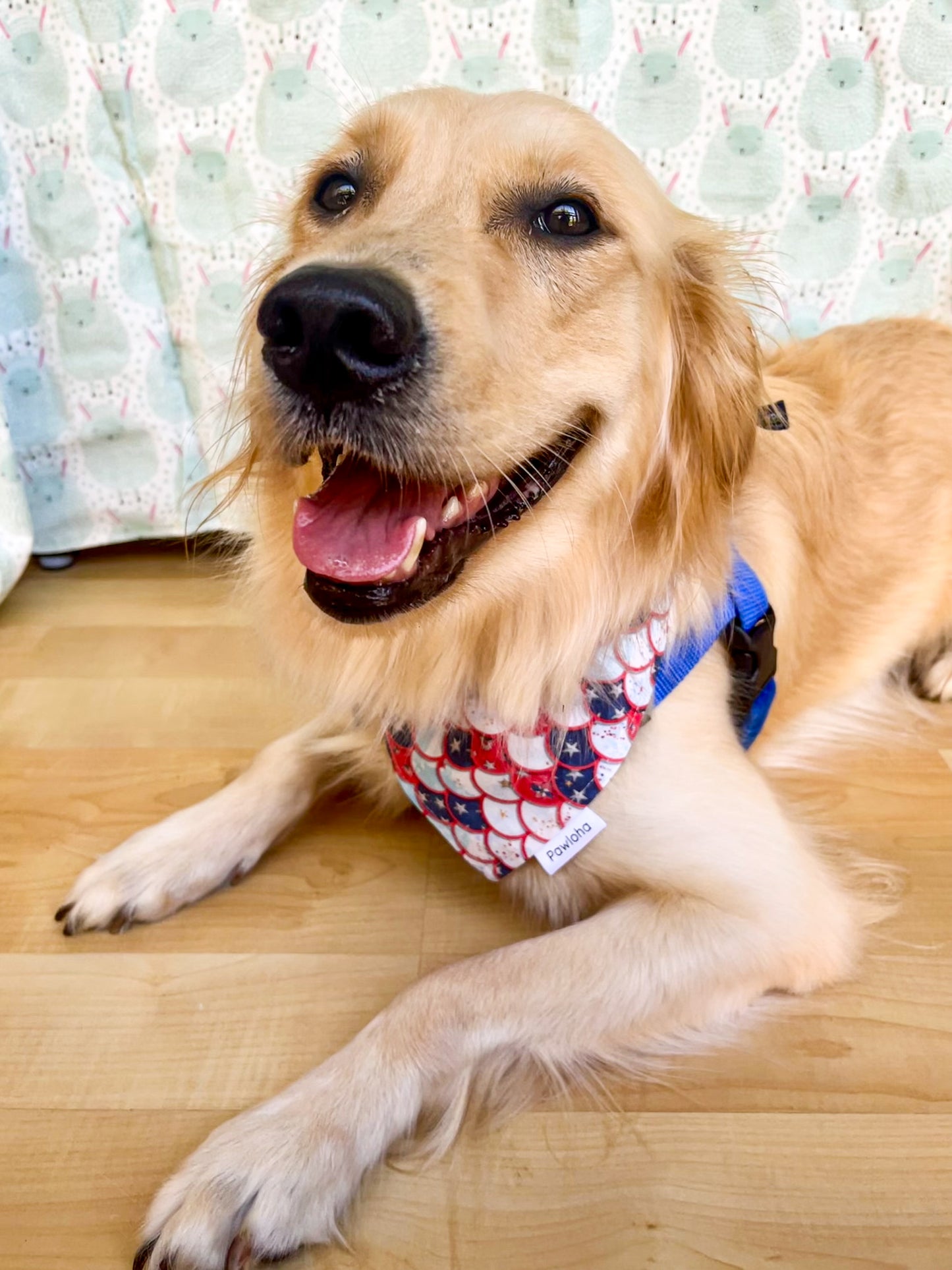 Pawtriotic Mermaid & Summer Floral Bandana