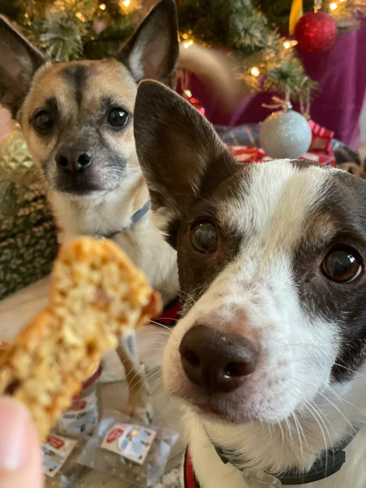 Waffle Treats (Min.3)