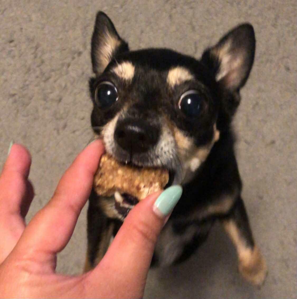 Waffle Treats (Min.3)