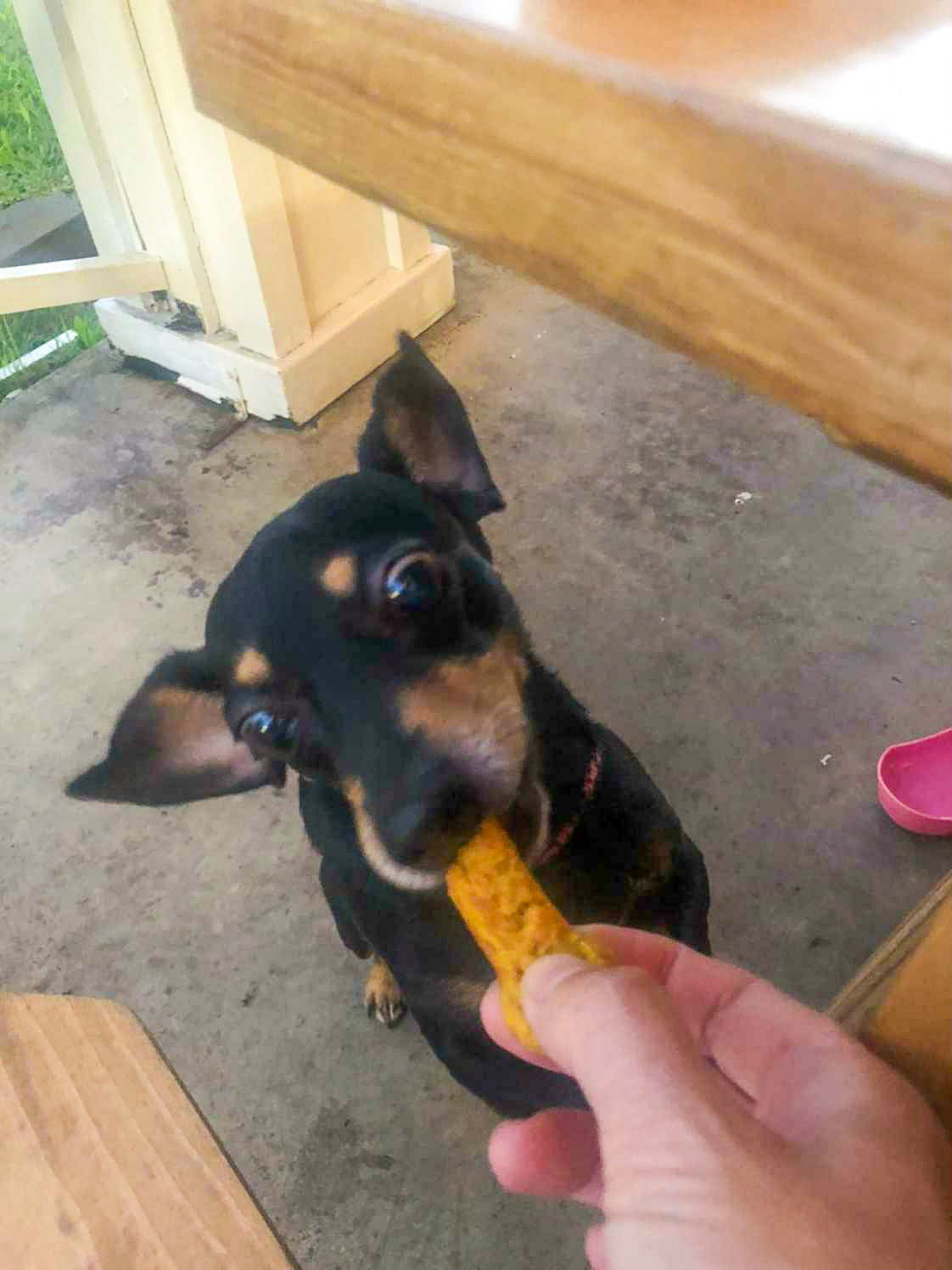 Waffle Treats (Min.3)