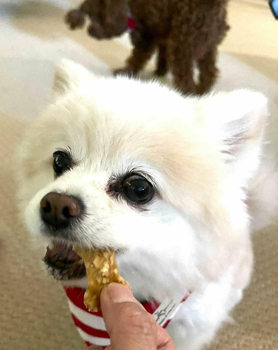 Waffle Treats (Min.3)