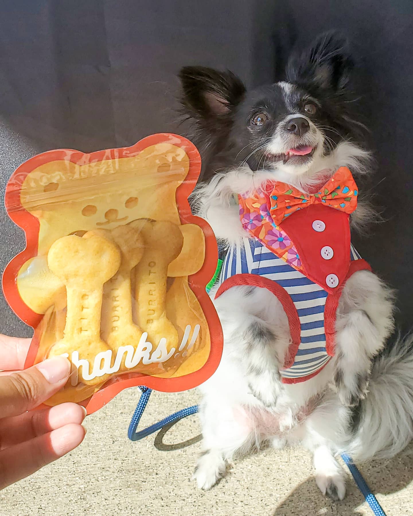Sweet Potato Custom Cookies (Min. 3)
