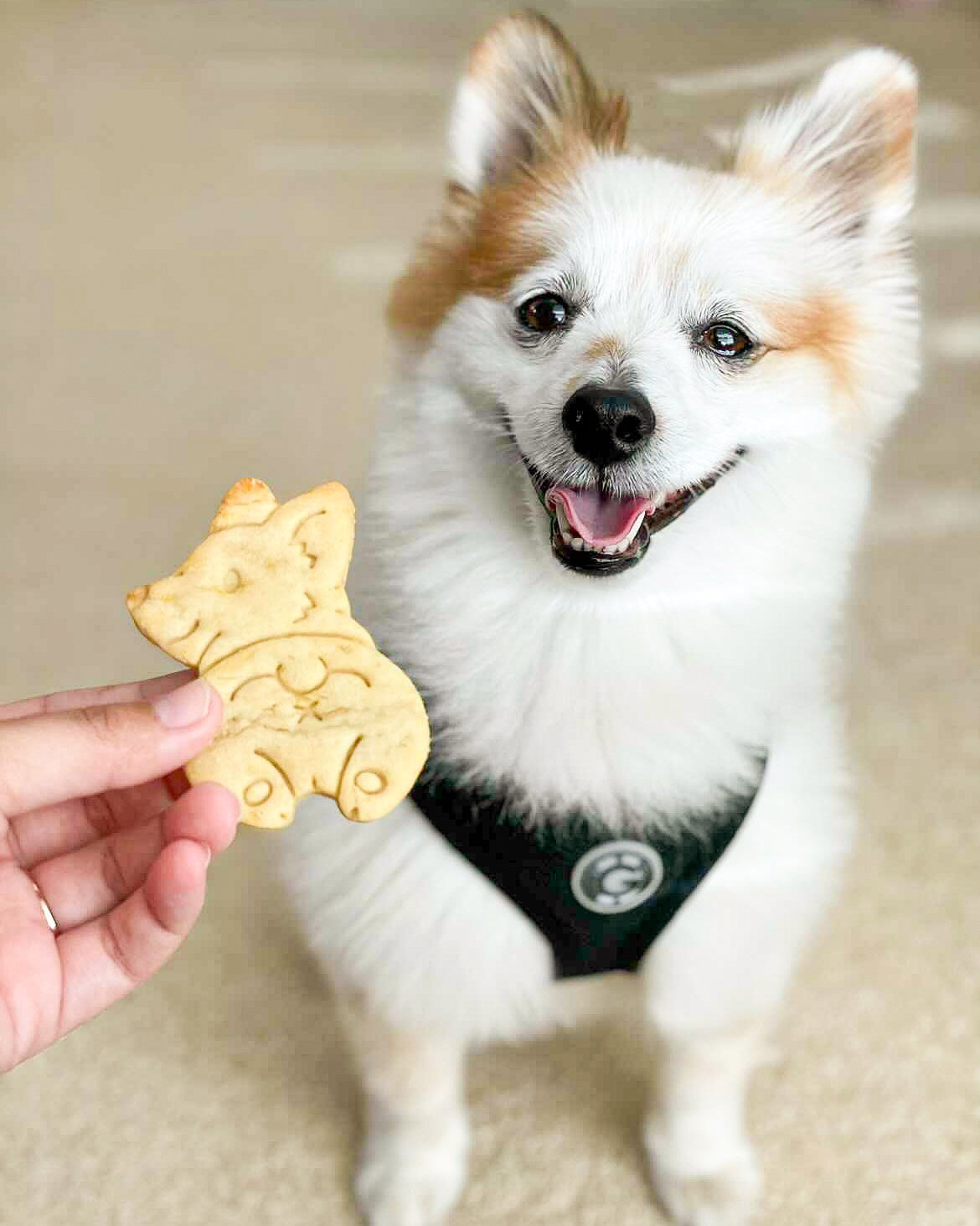 Booty Cookies