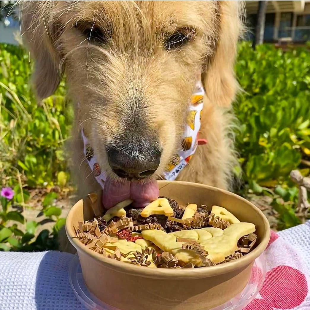 ALOHA - Barkuterie Board