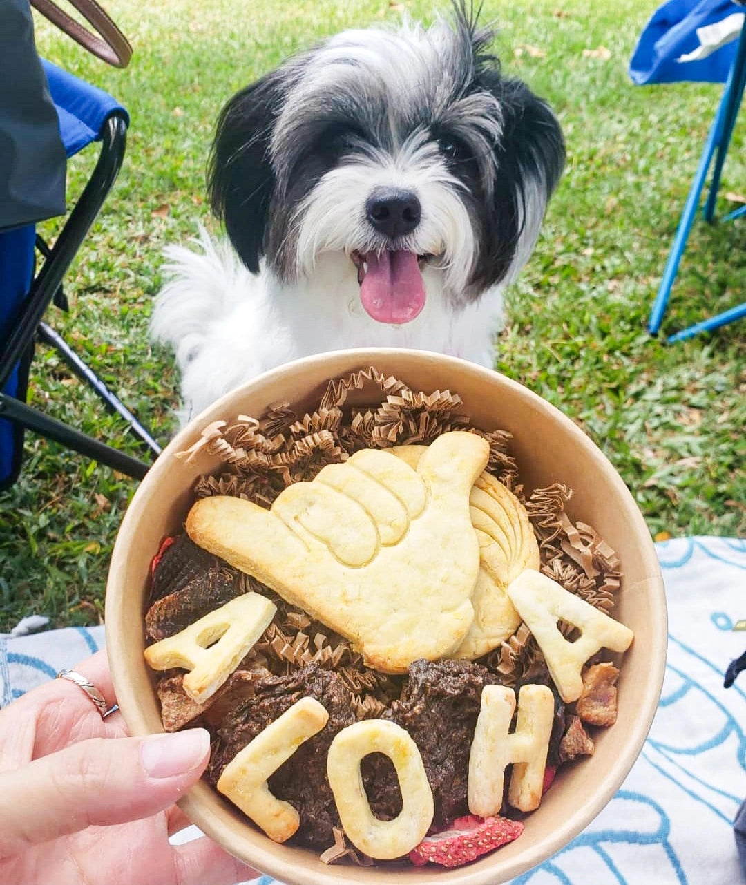 ALOHA - Barkuterie Board