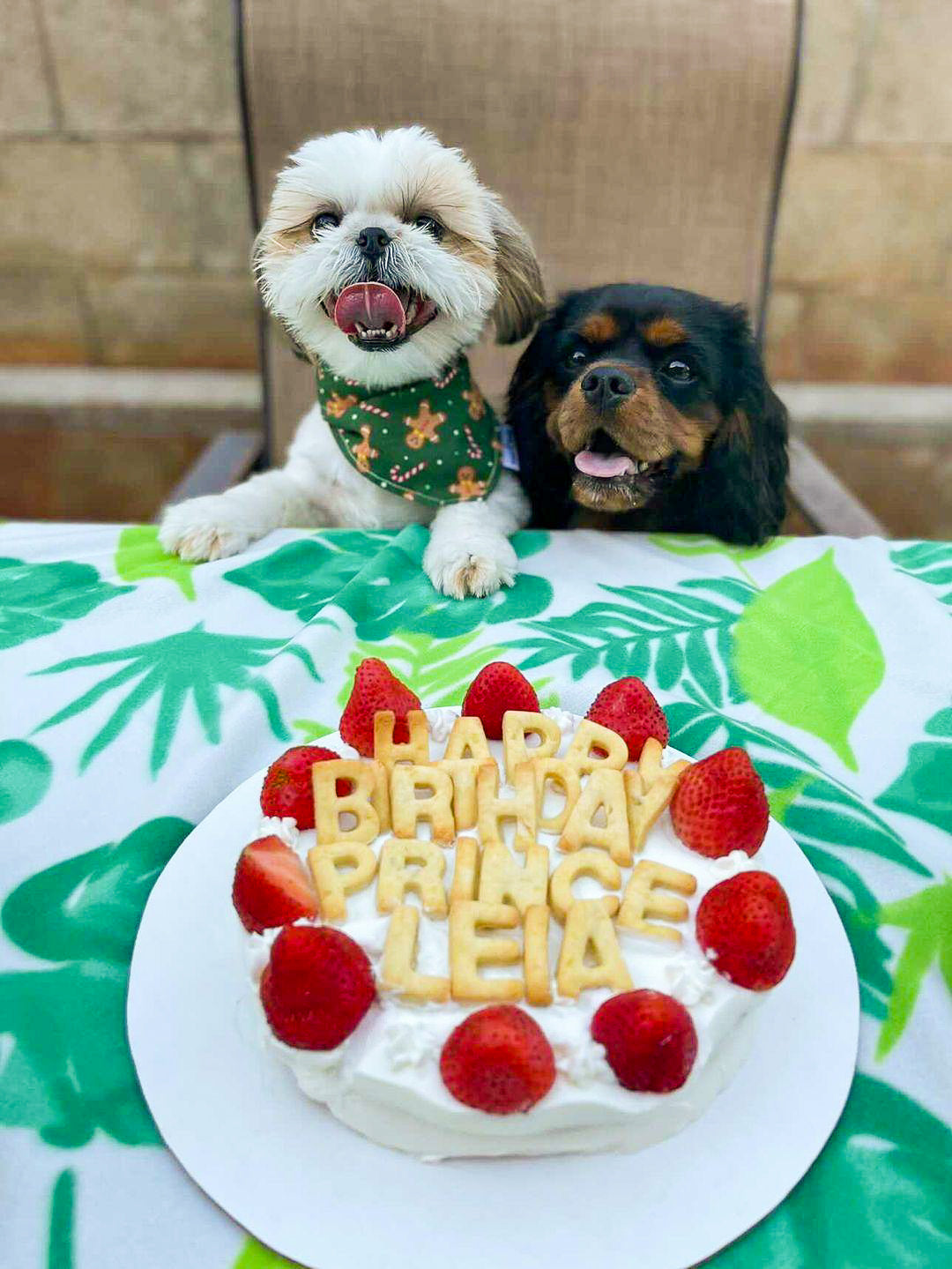 5" Special Cake
