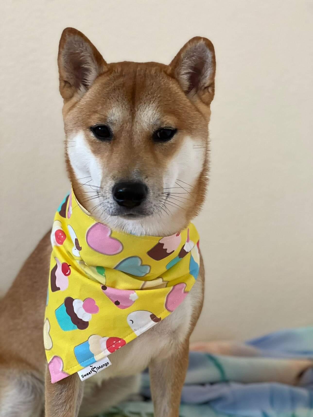 Sweets Bandana