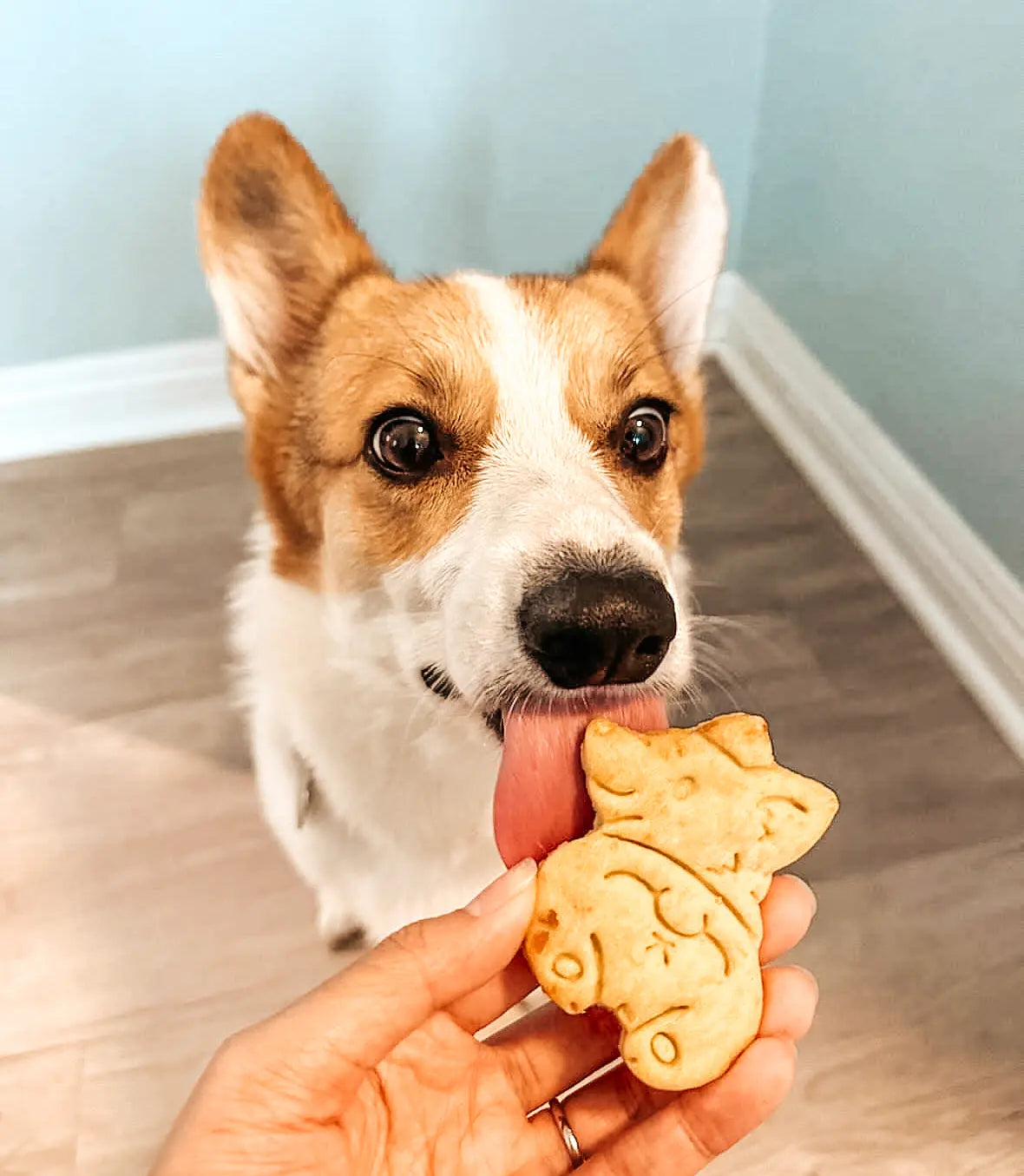 Booty Cookies