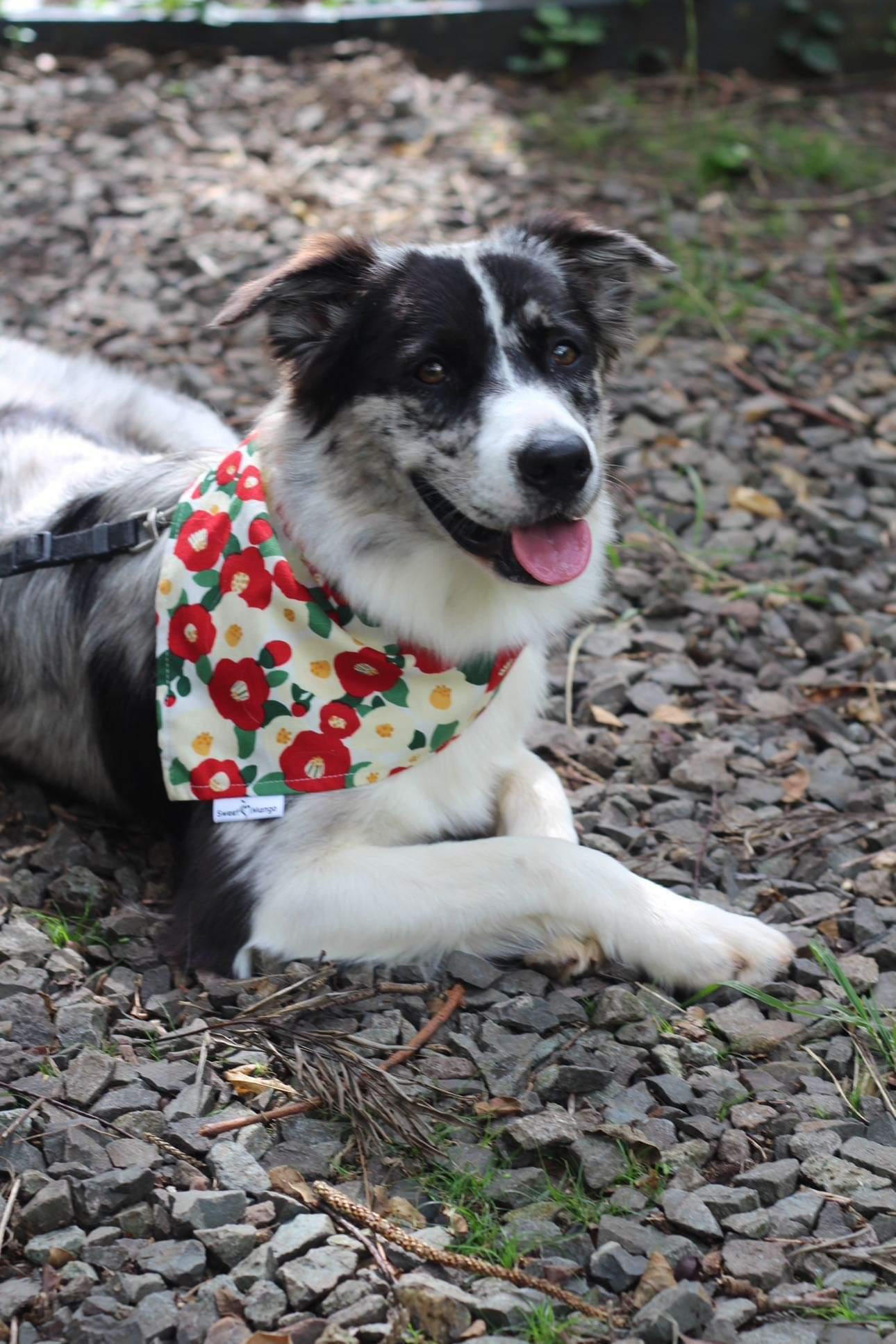 Floral Bandana
