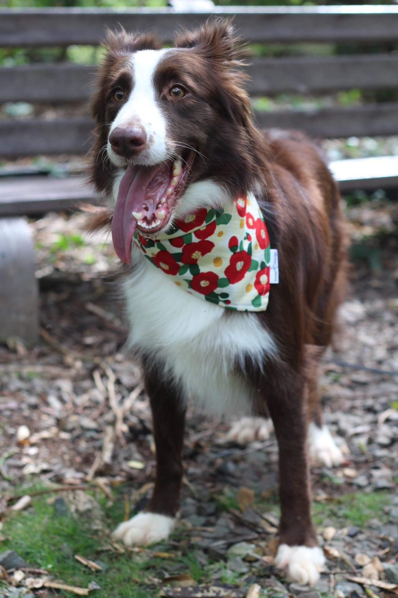Floral Bandana