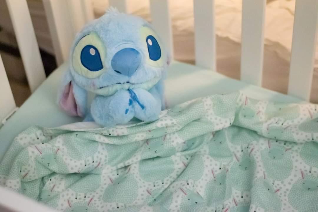 Muslin Baby/Toddler Blankets