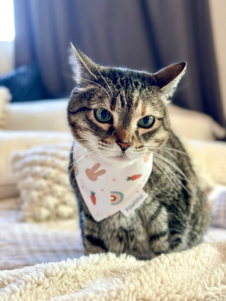 Hoppy Bunny Bandana