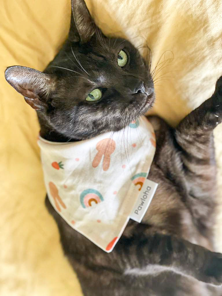 Hoppy Bunny Bandana