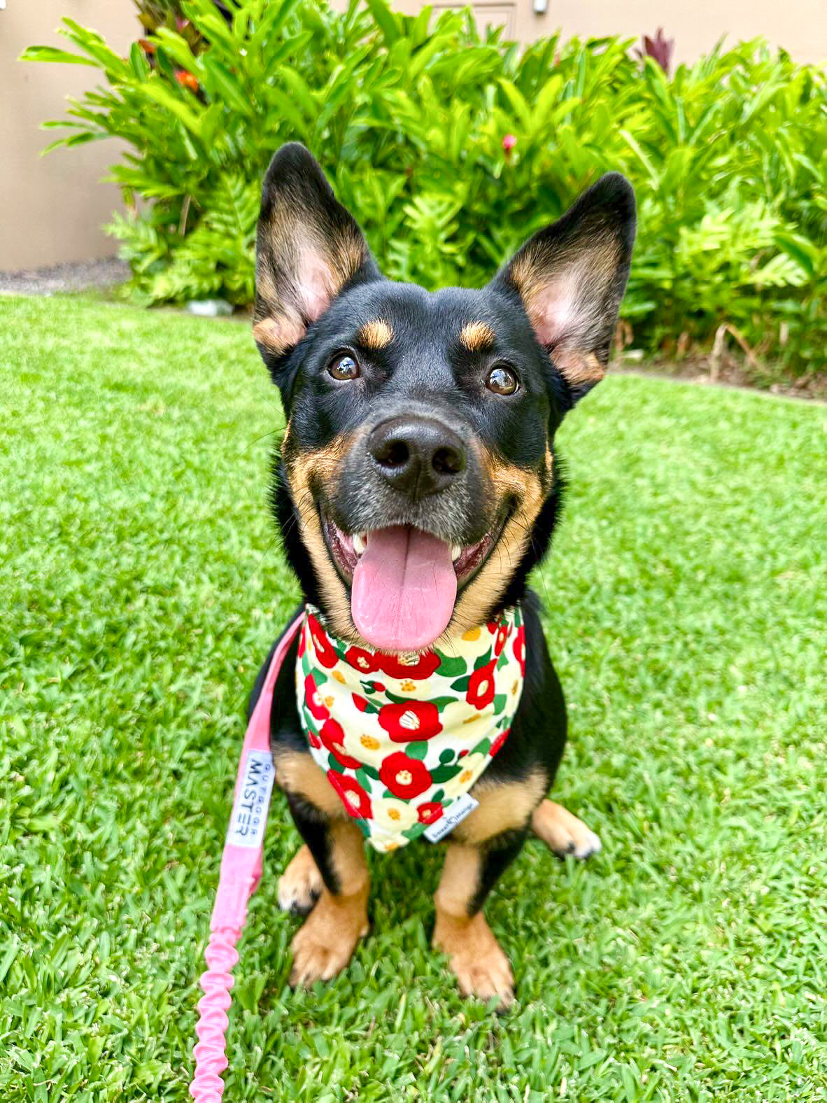 Floral Bandana