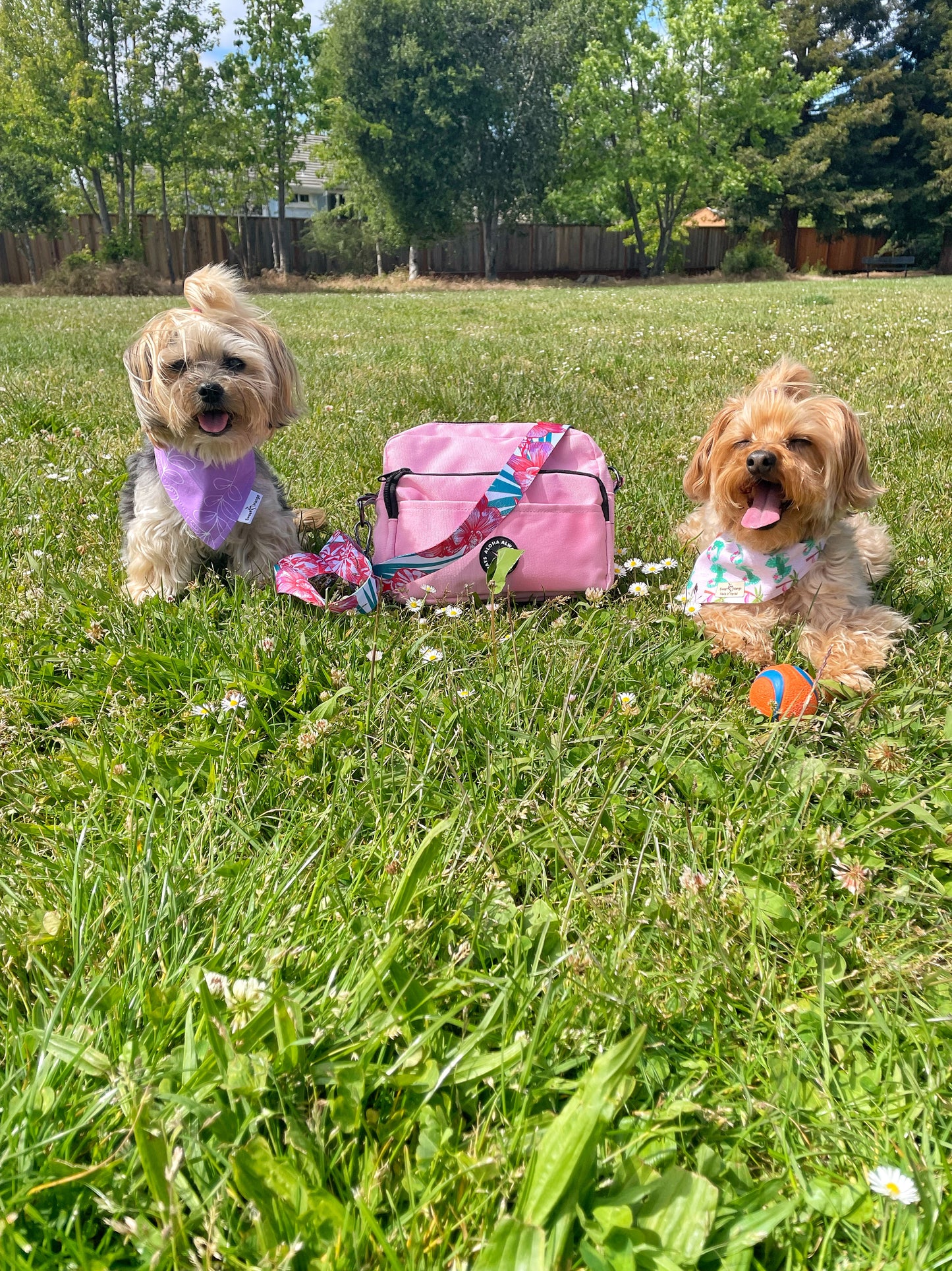 Aloha Dog Walking Bag - Hot Pink