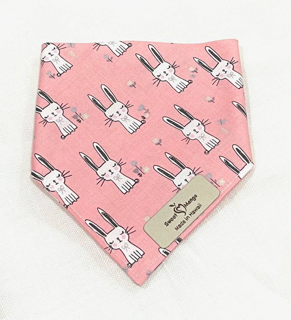 Usakawa Bandana
