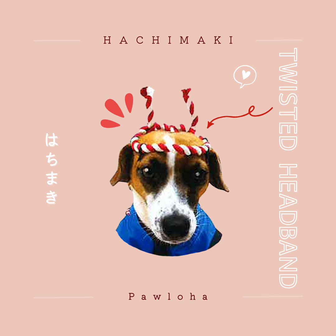 Hachimaki (Traditional Twisted Japanese Headband)