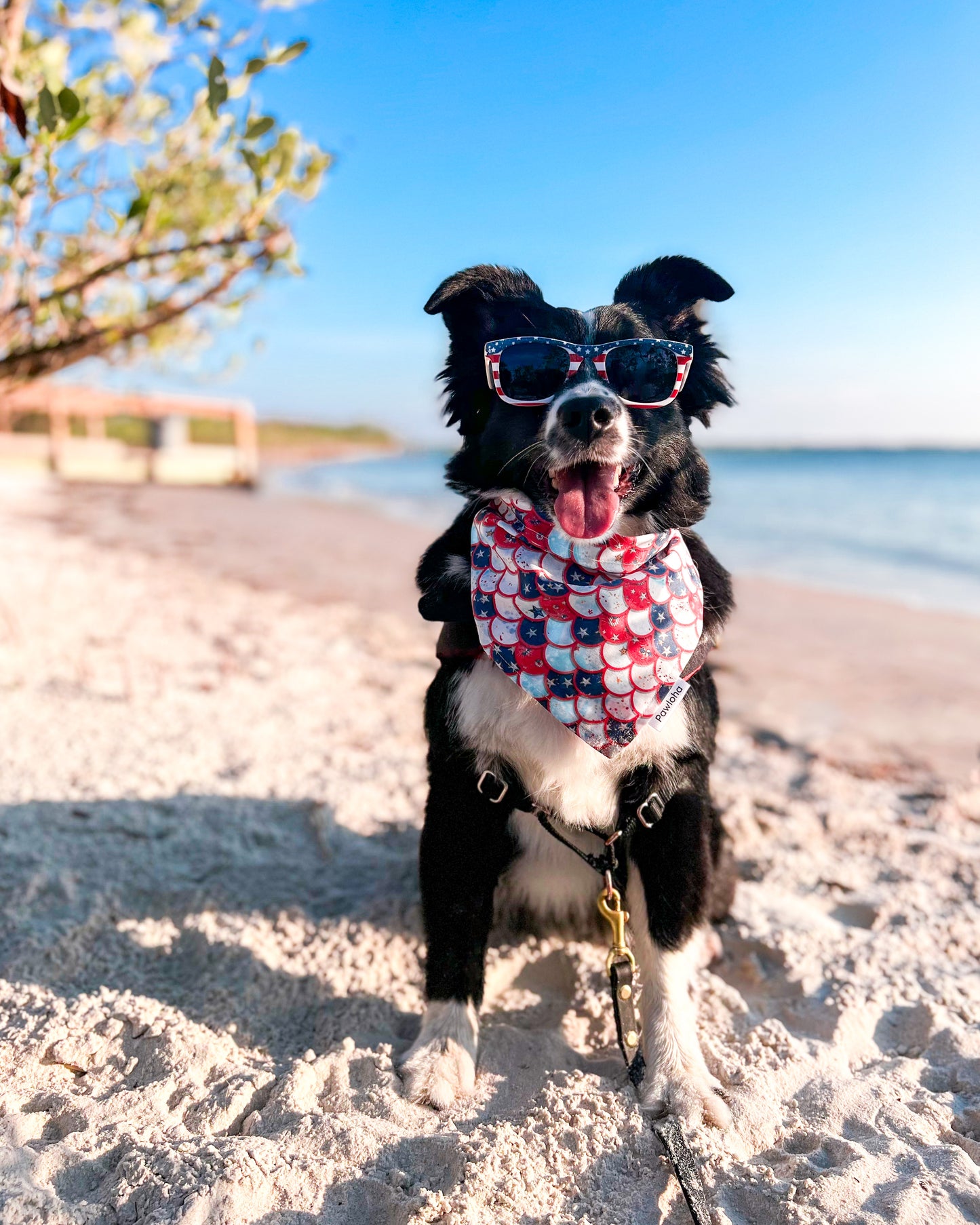 Pawtriotic Mermaid & Summer Floral Bandana