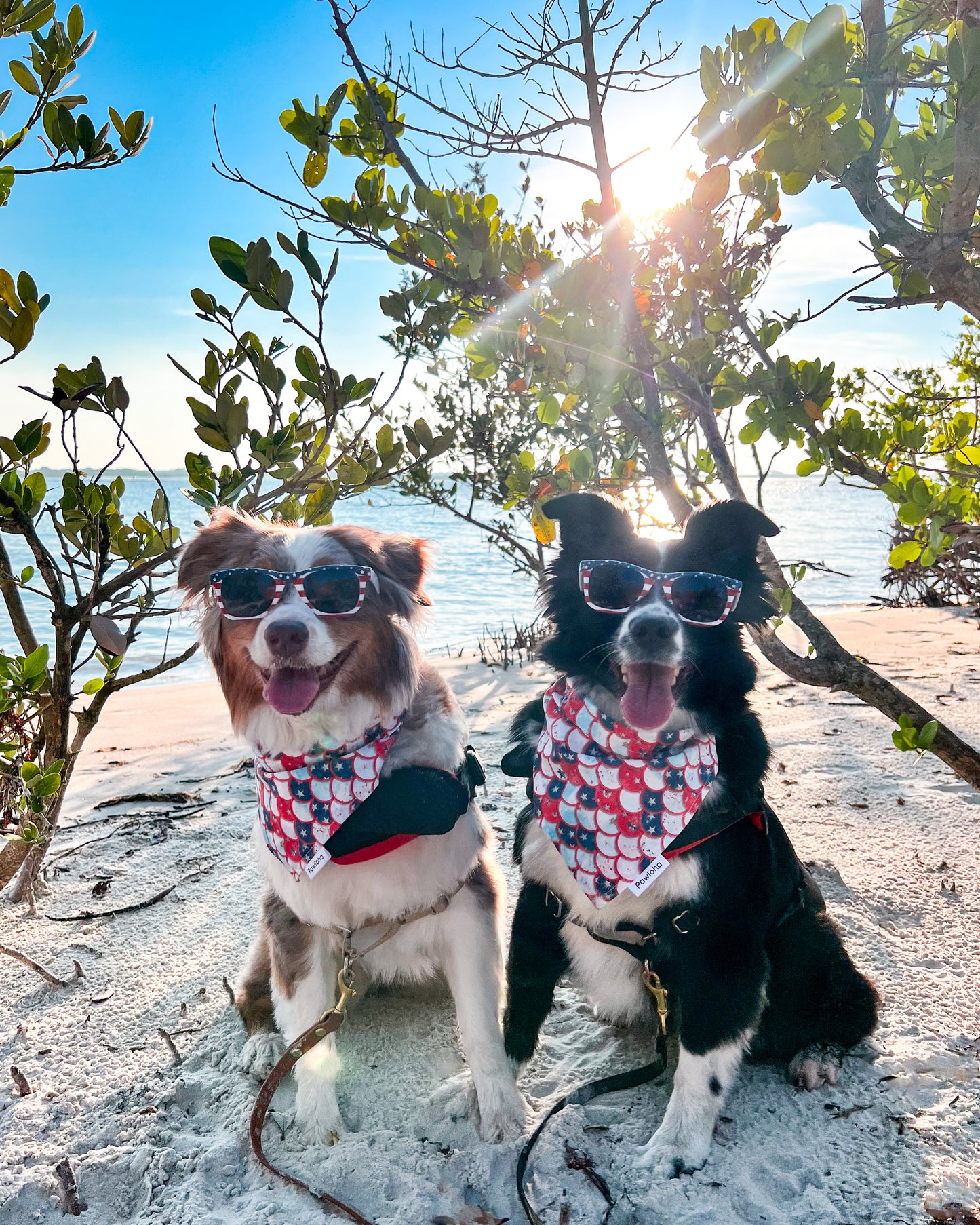Pawtriotic Mermaid & Summer Floral Bandana
