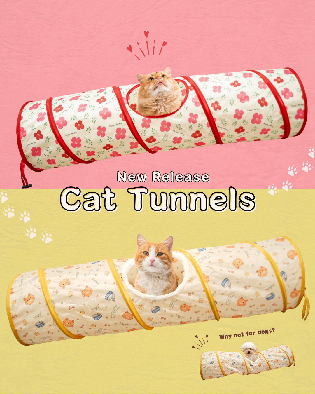 Cat Tunnels