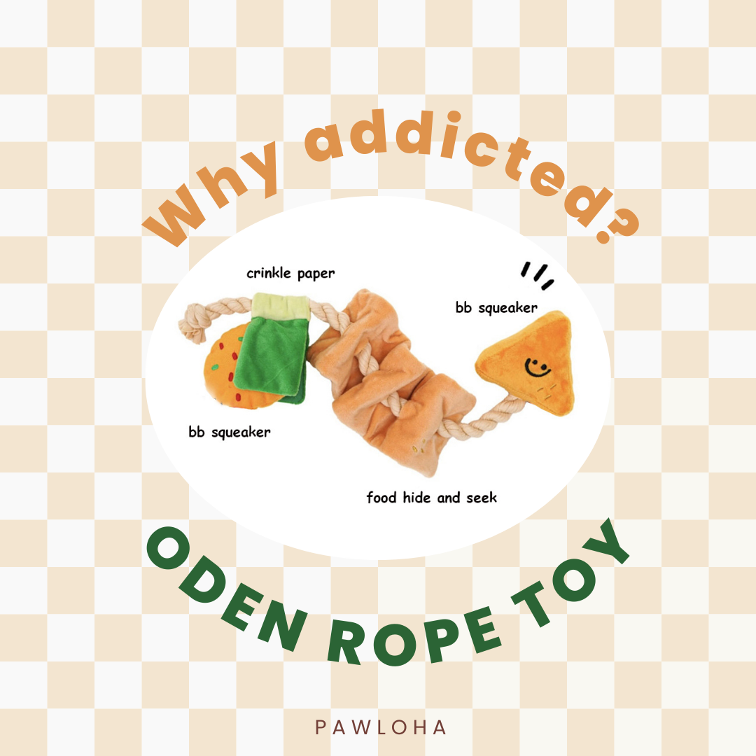 Oden Rope Toy