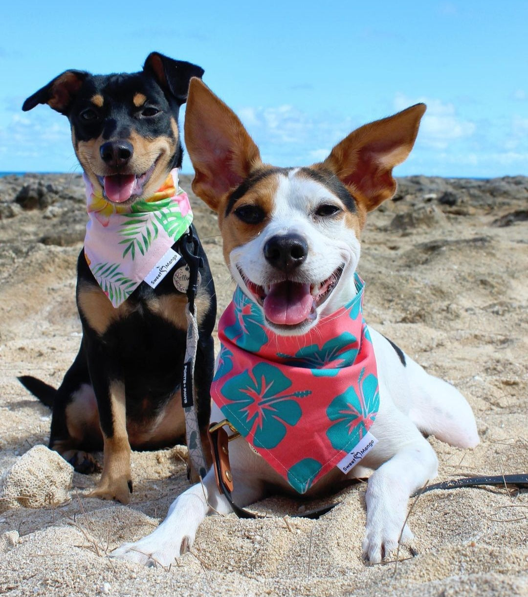Hibiscus "Noah" Bandana