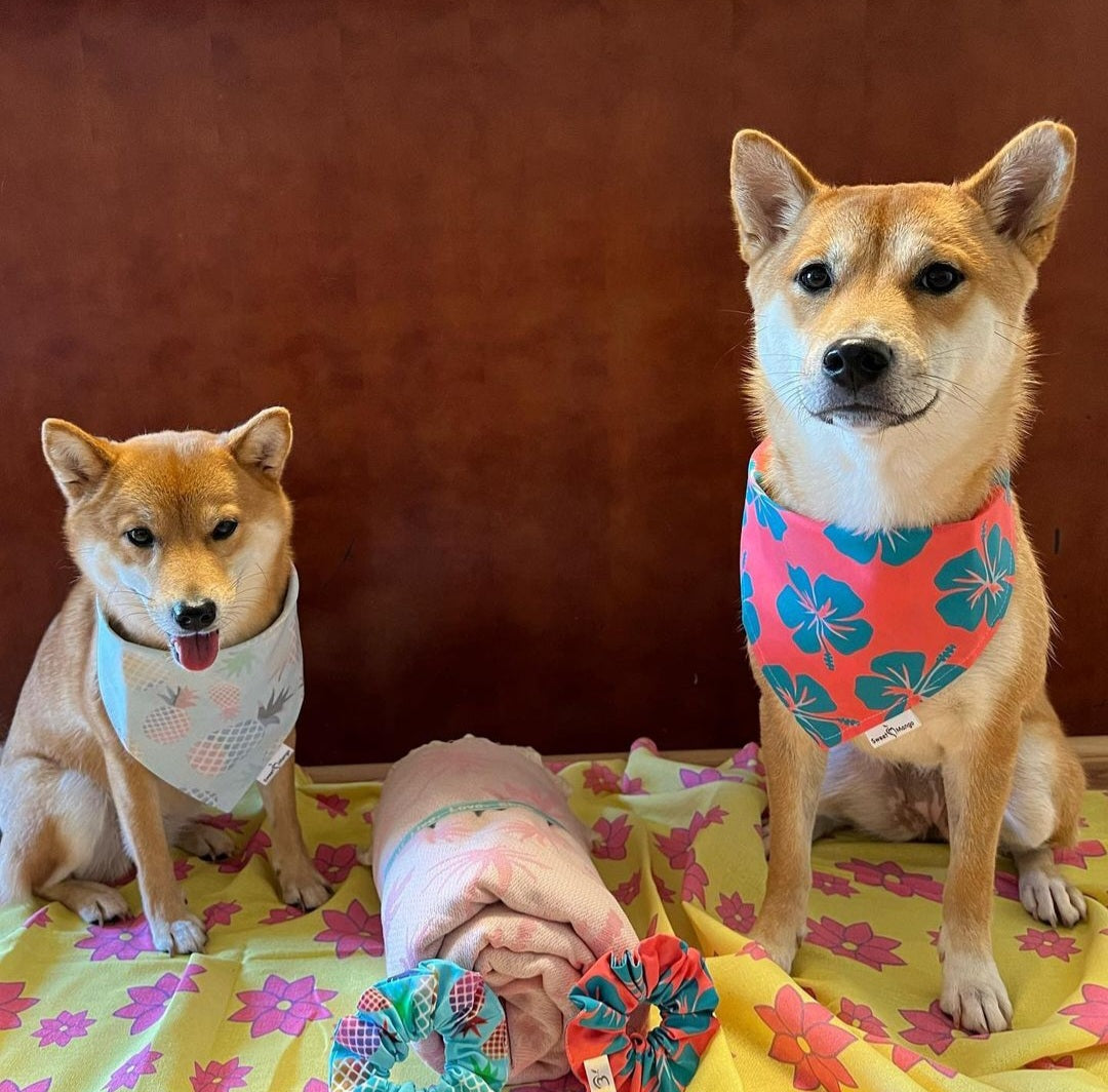 Hibiscus "Noah" Bandana