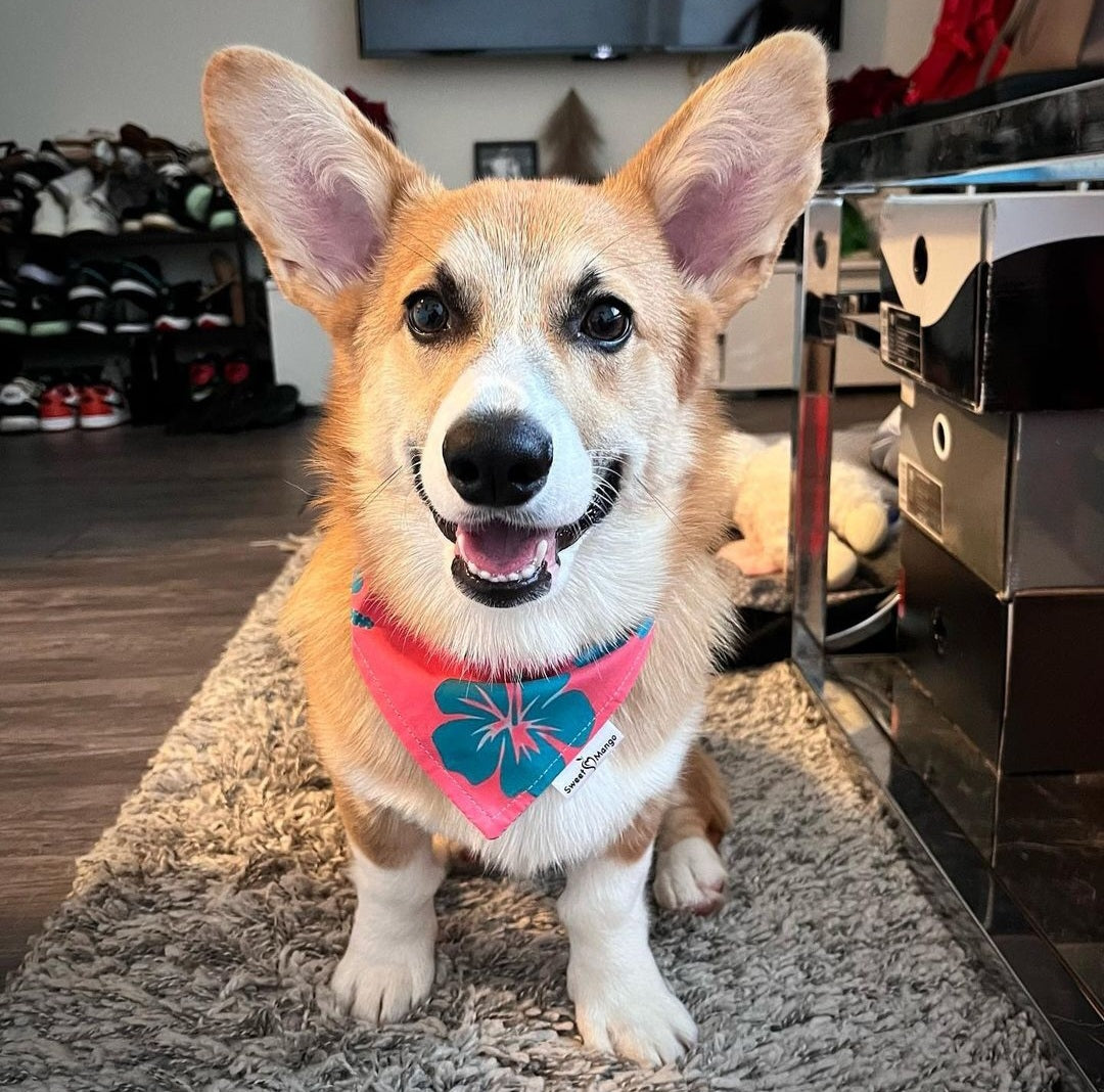 Hibiscus "Noah" Bandana