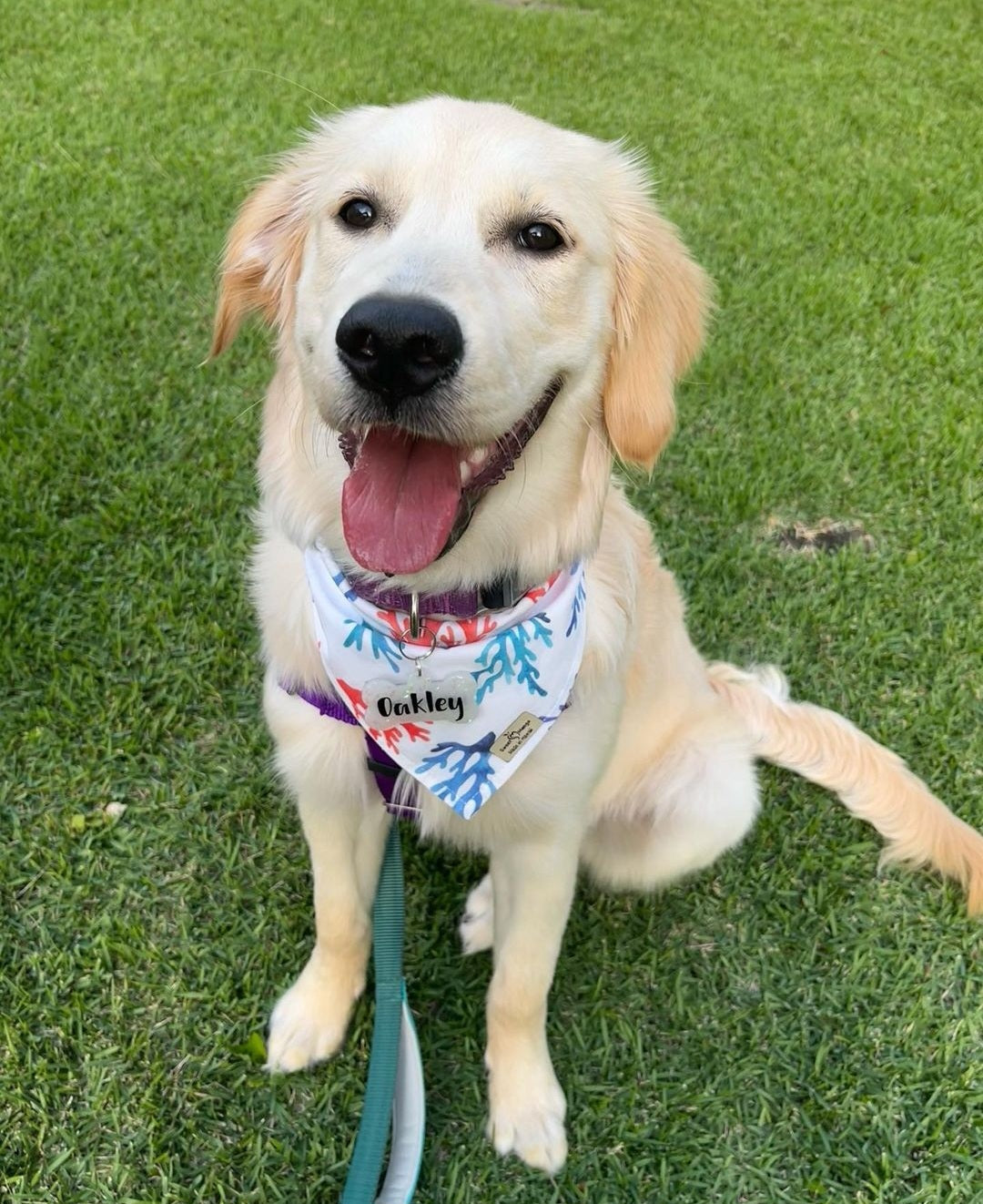 Coral Bandana